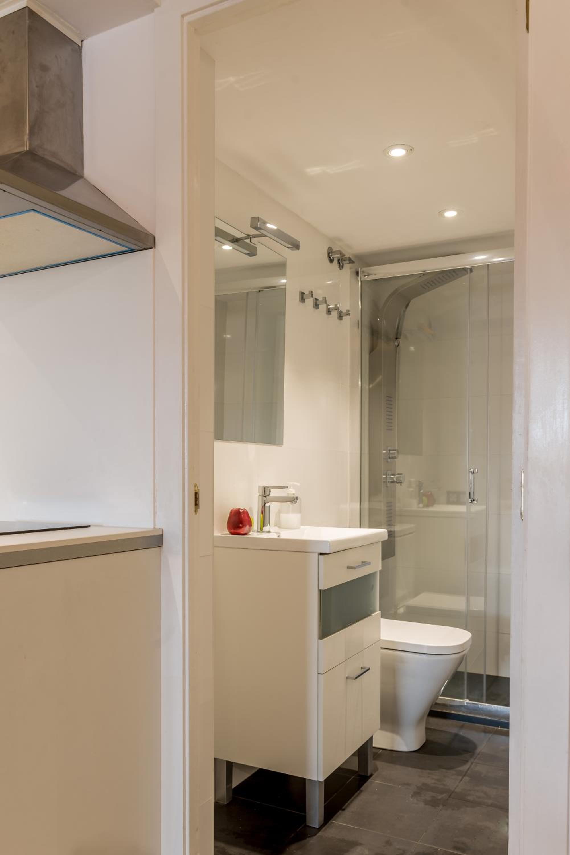 CITY CENTER TWO BEDROOMS APARTMENT, IN A 1870's FULL RENEWED BUILDING