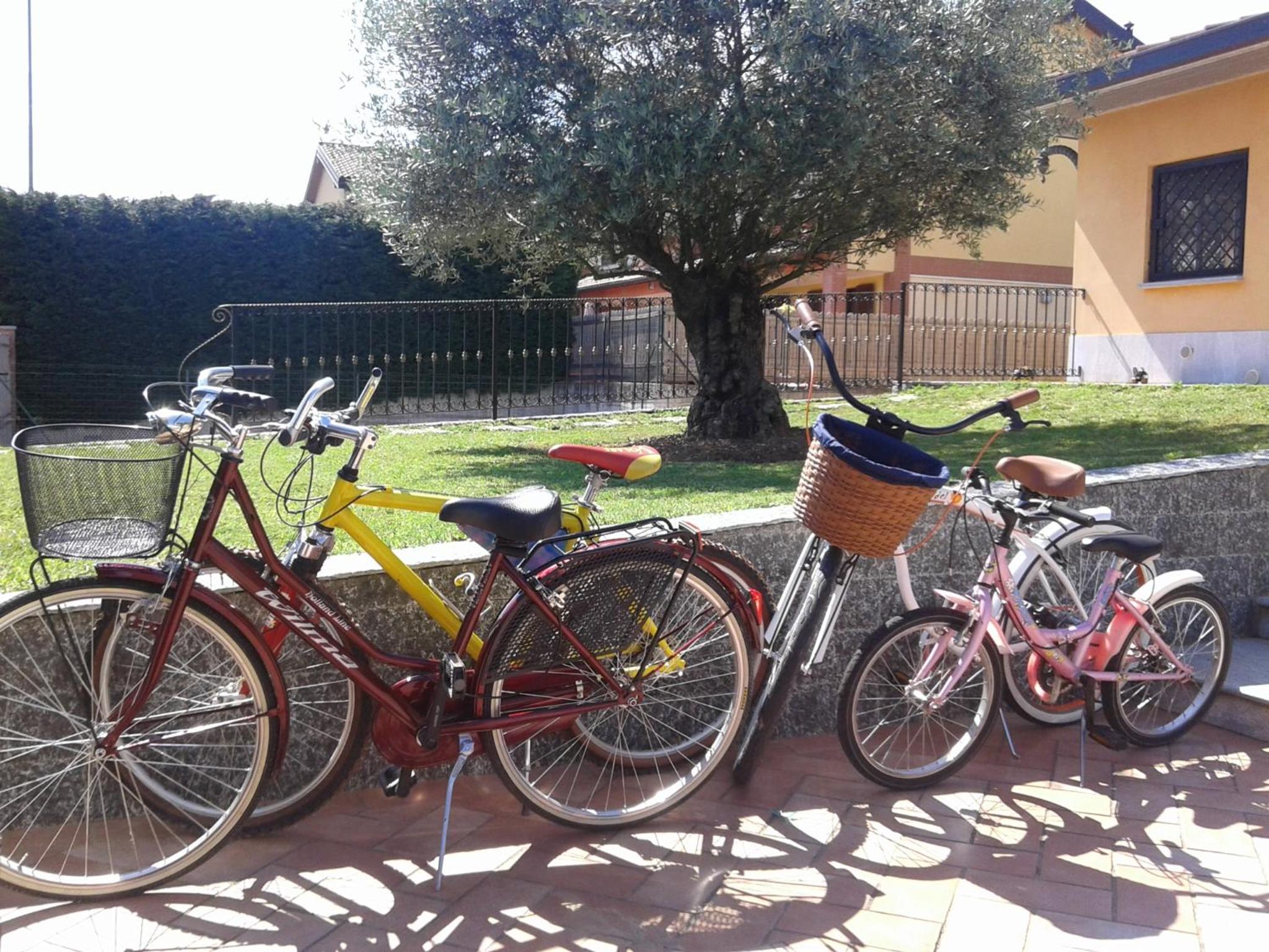 Photo 42