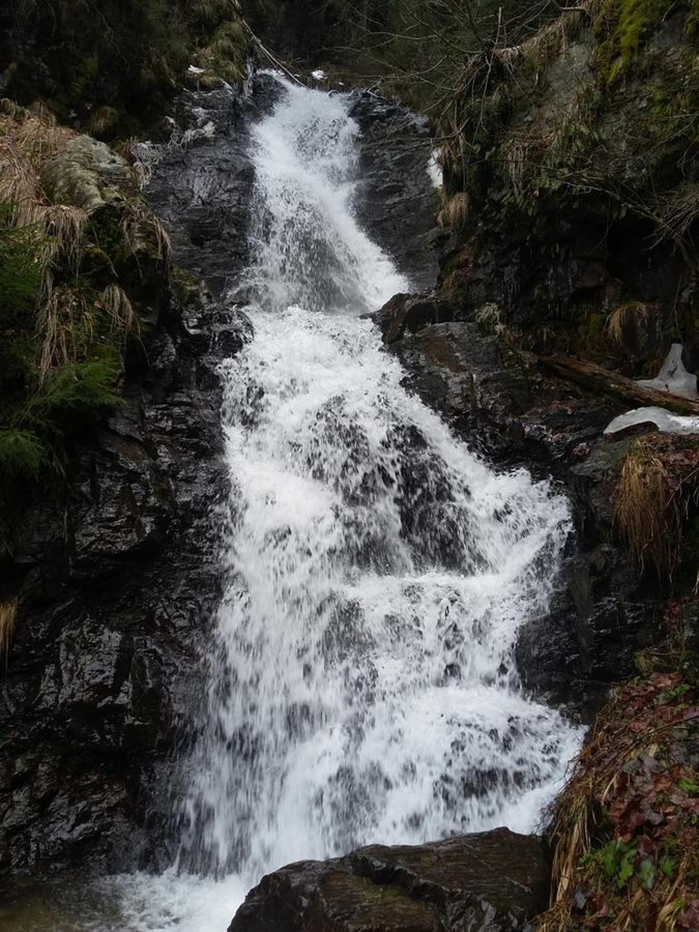 Photo 38