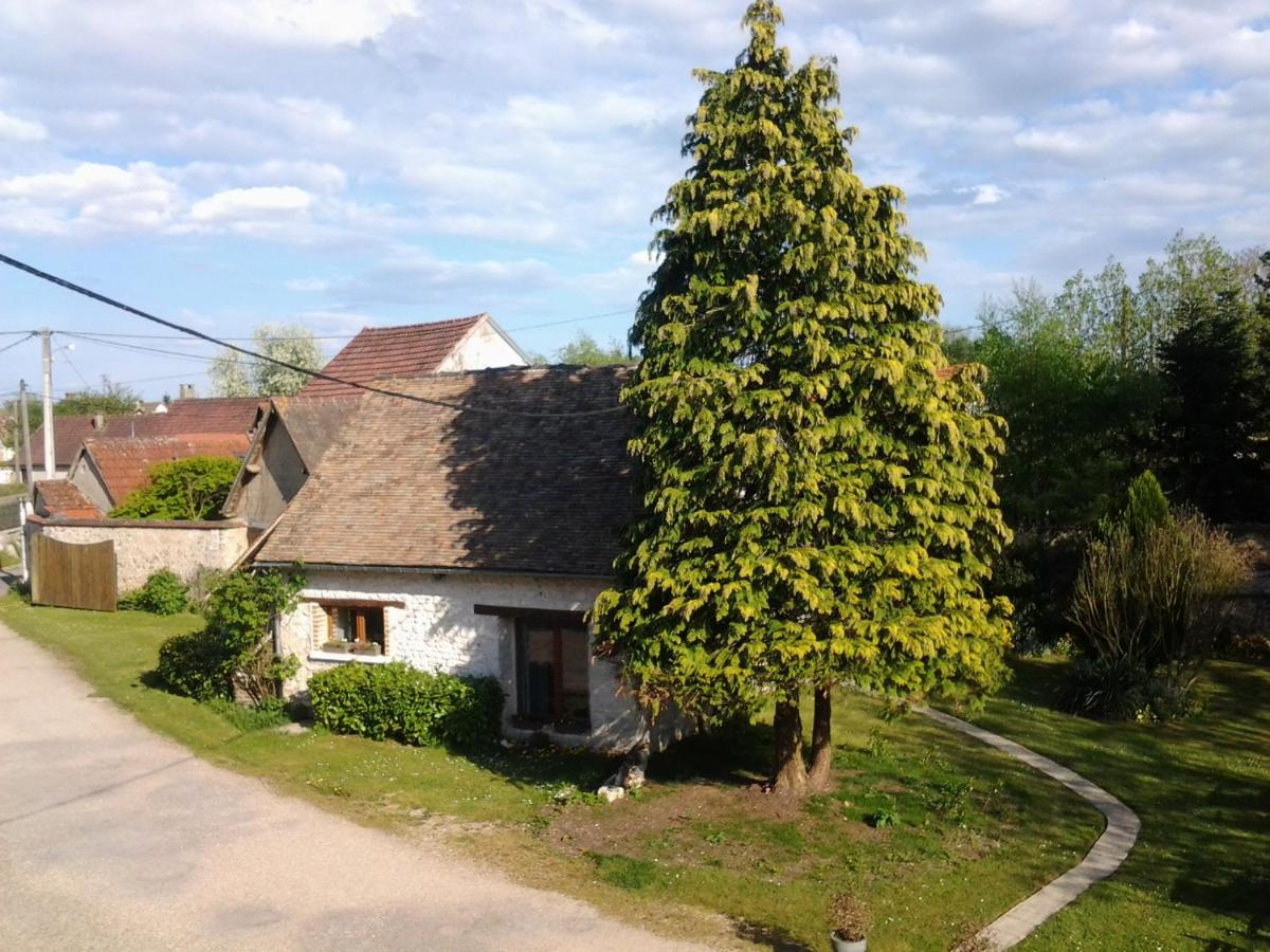 Photo 46