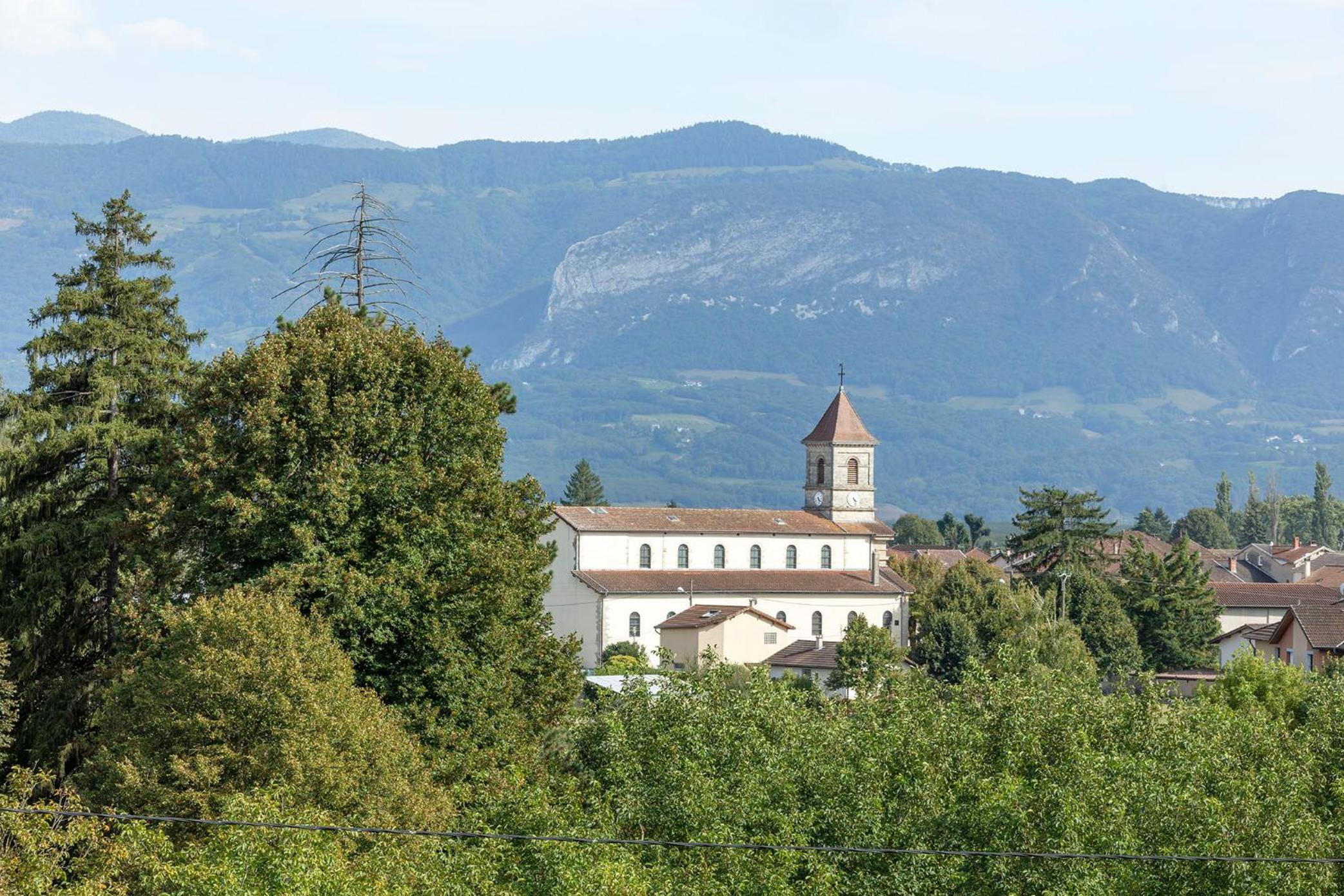 Photo 11