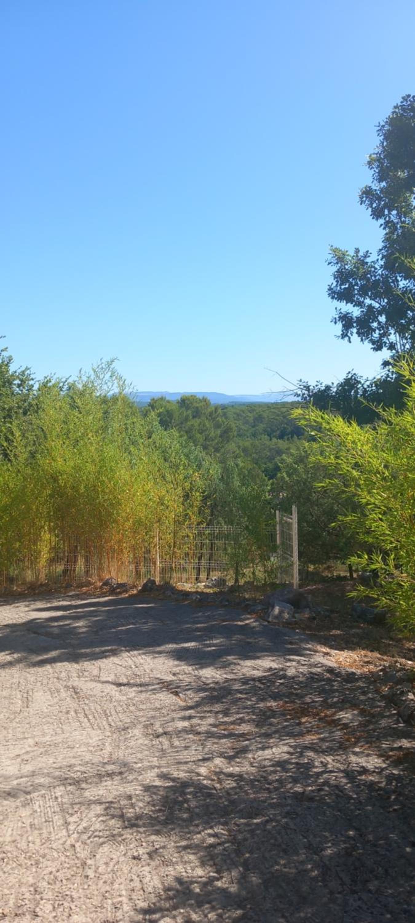 Maprovencale, photo 36