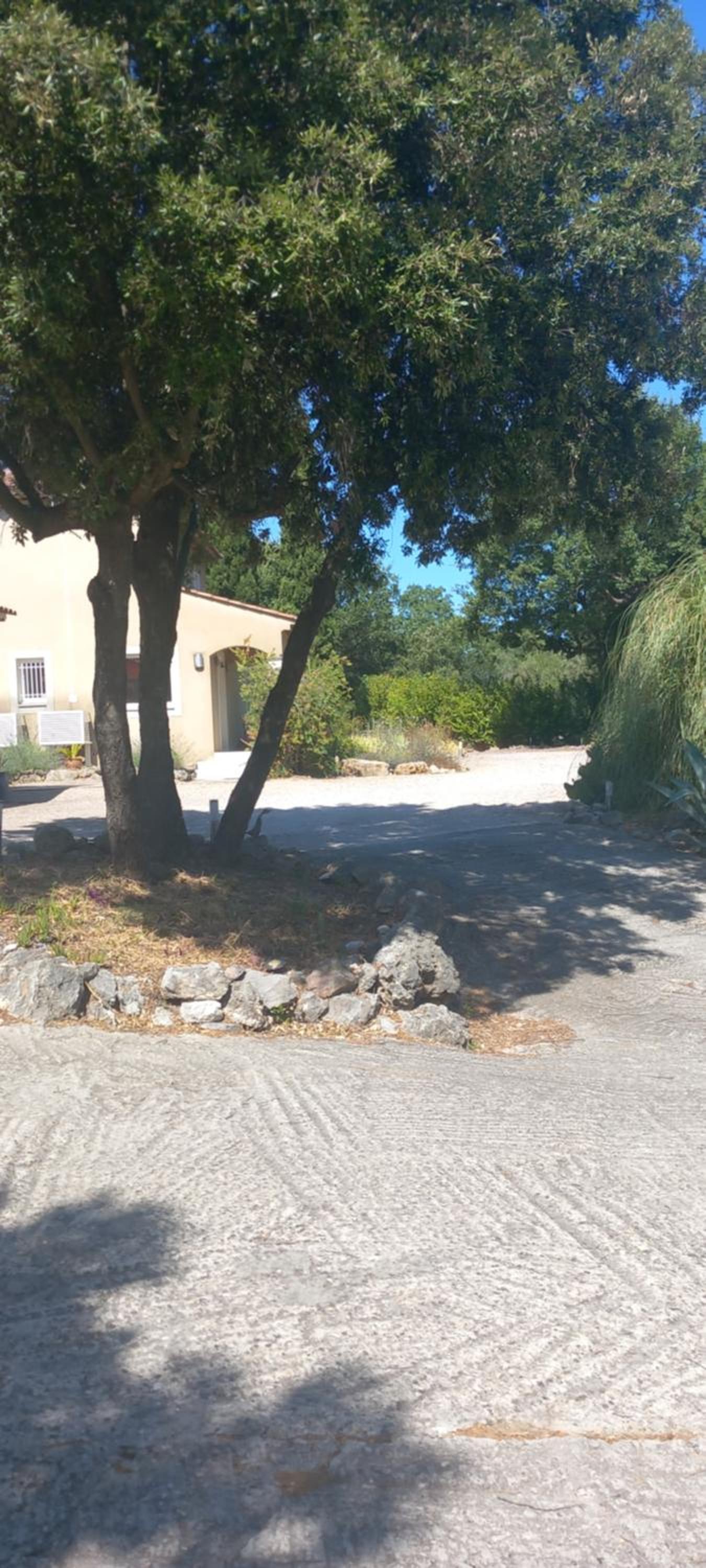 Maprovencale, photo 31