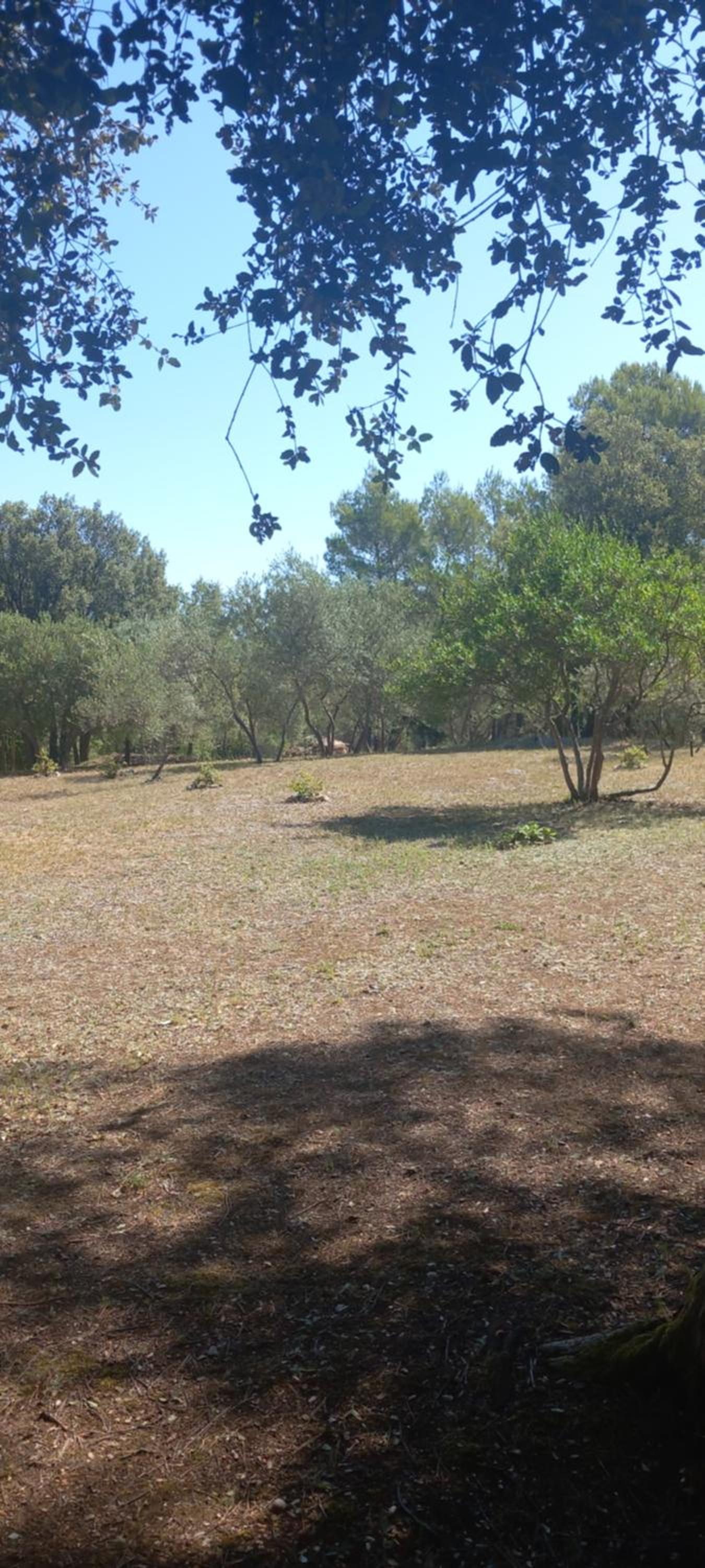 Maprovencale, photo 37