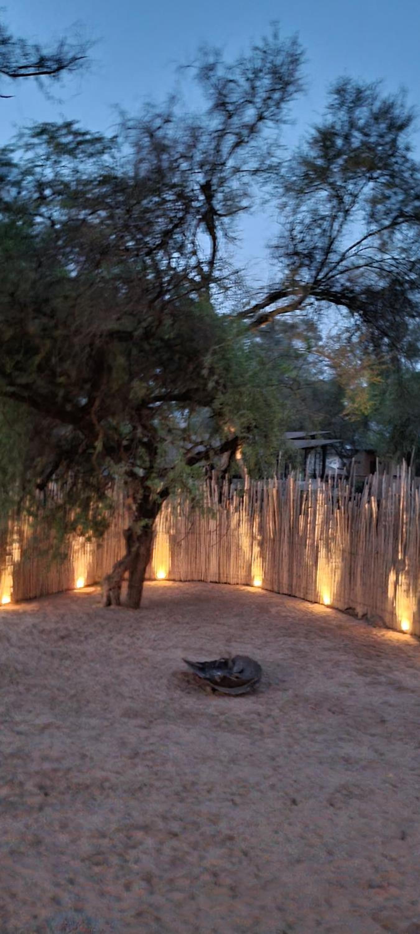 Soroi Samburu Lodge