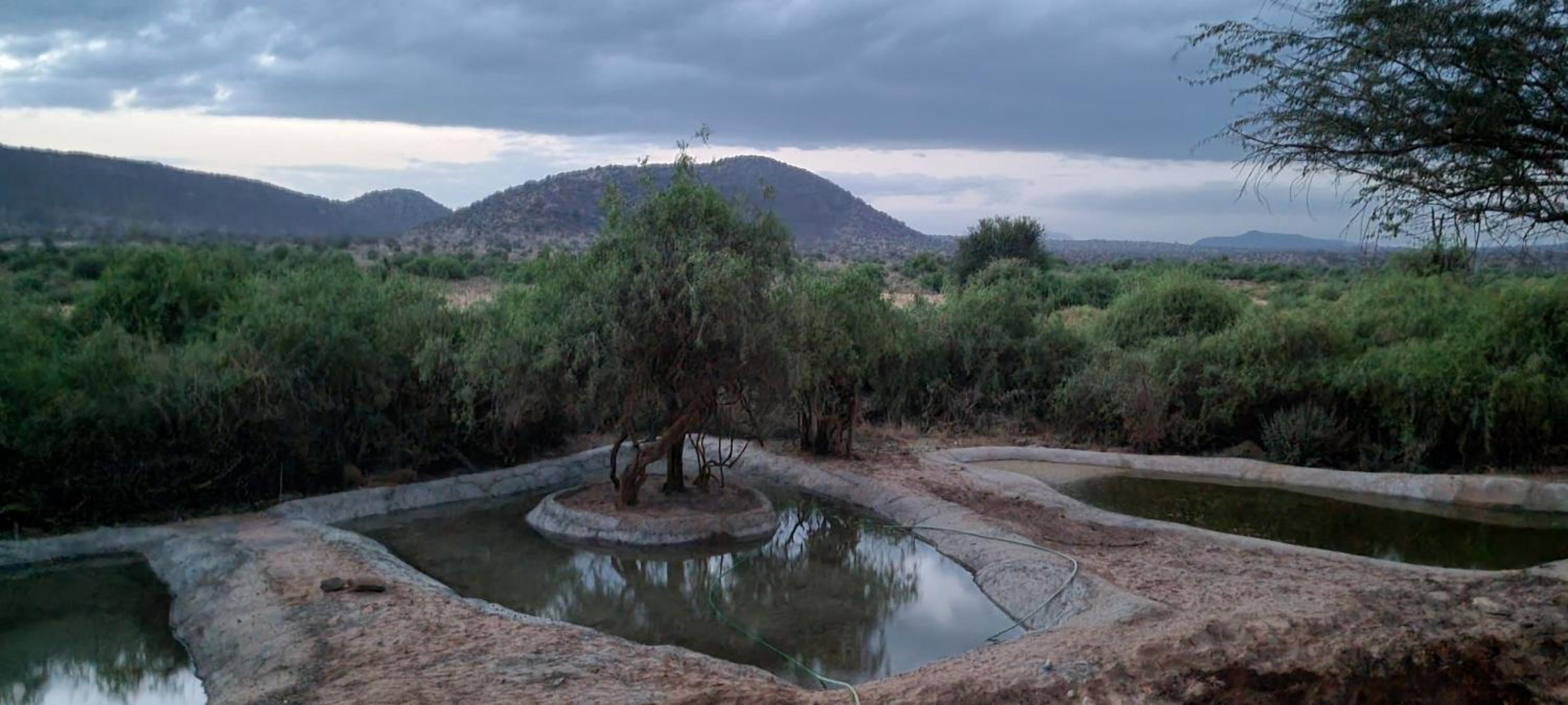 Soroi Samburu Lodge