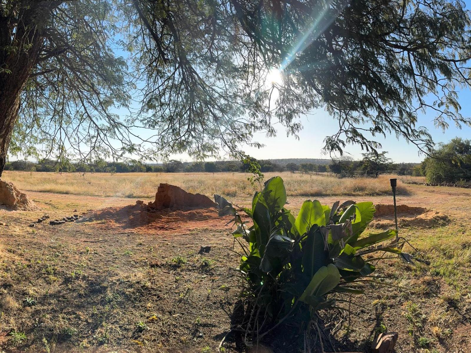 Impala Game Ranch