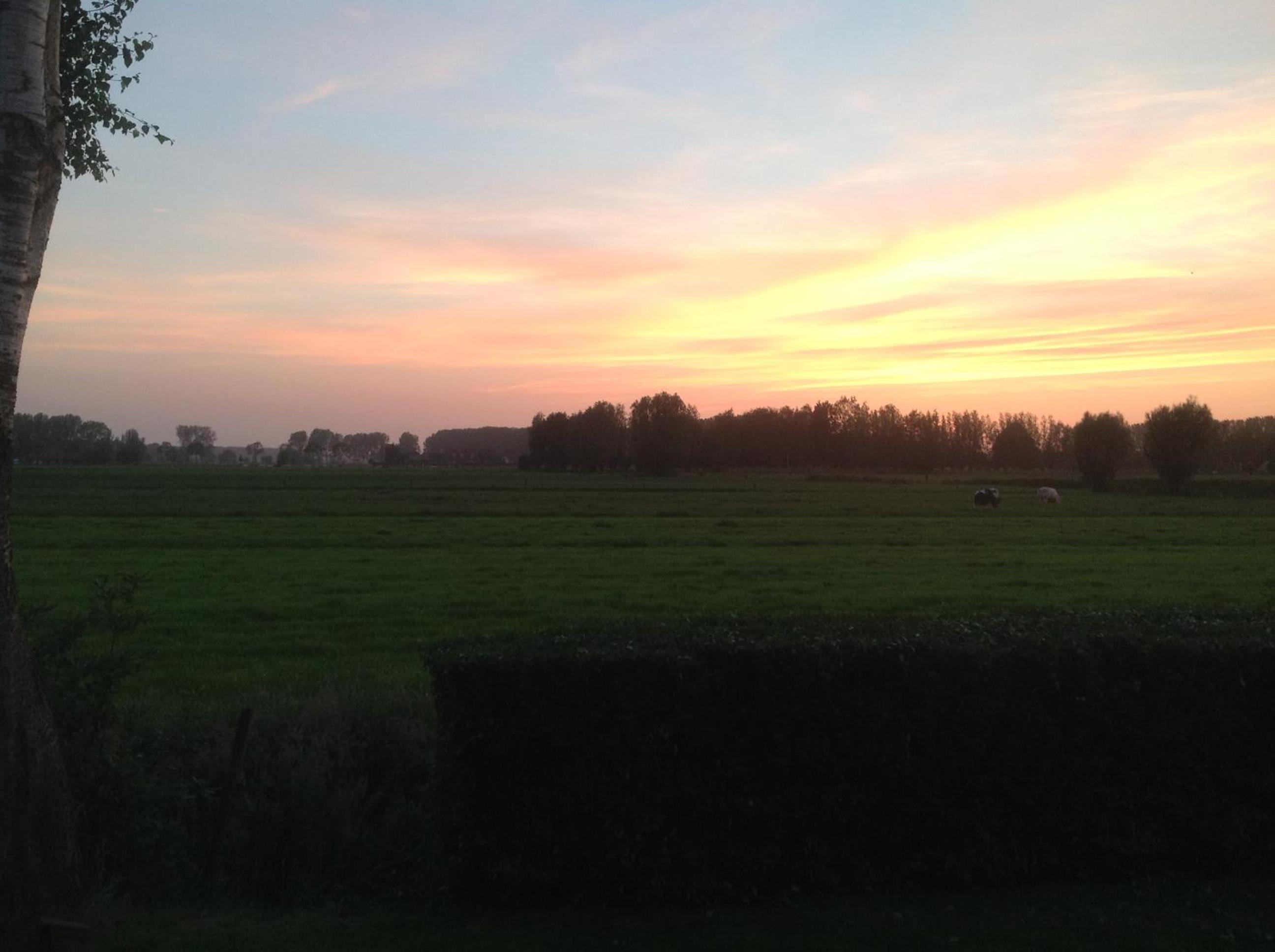 B&B CountryHeART