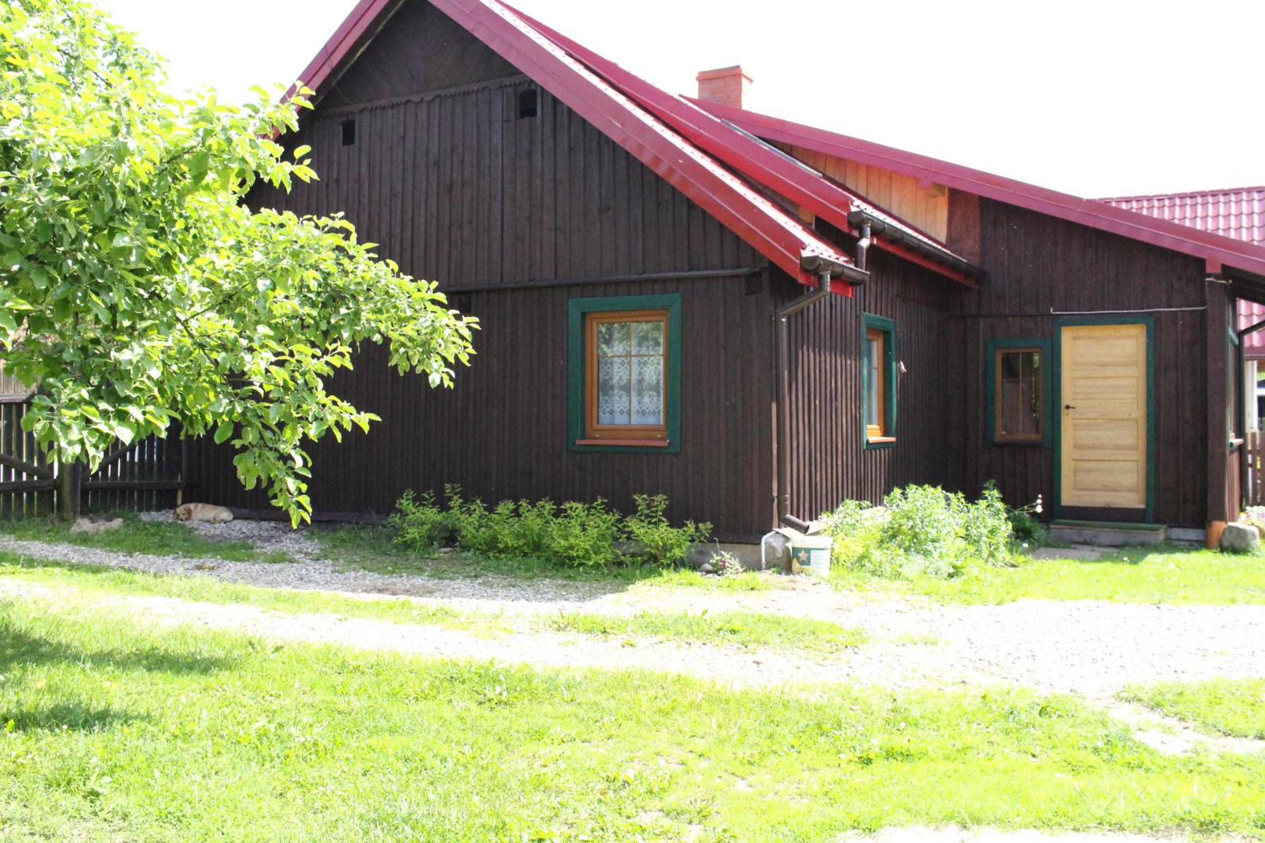 Photo 9