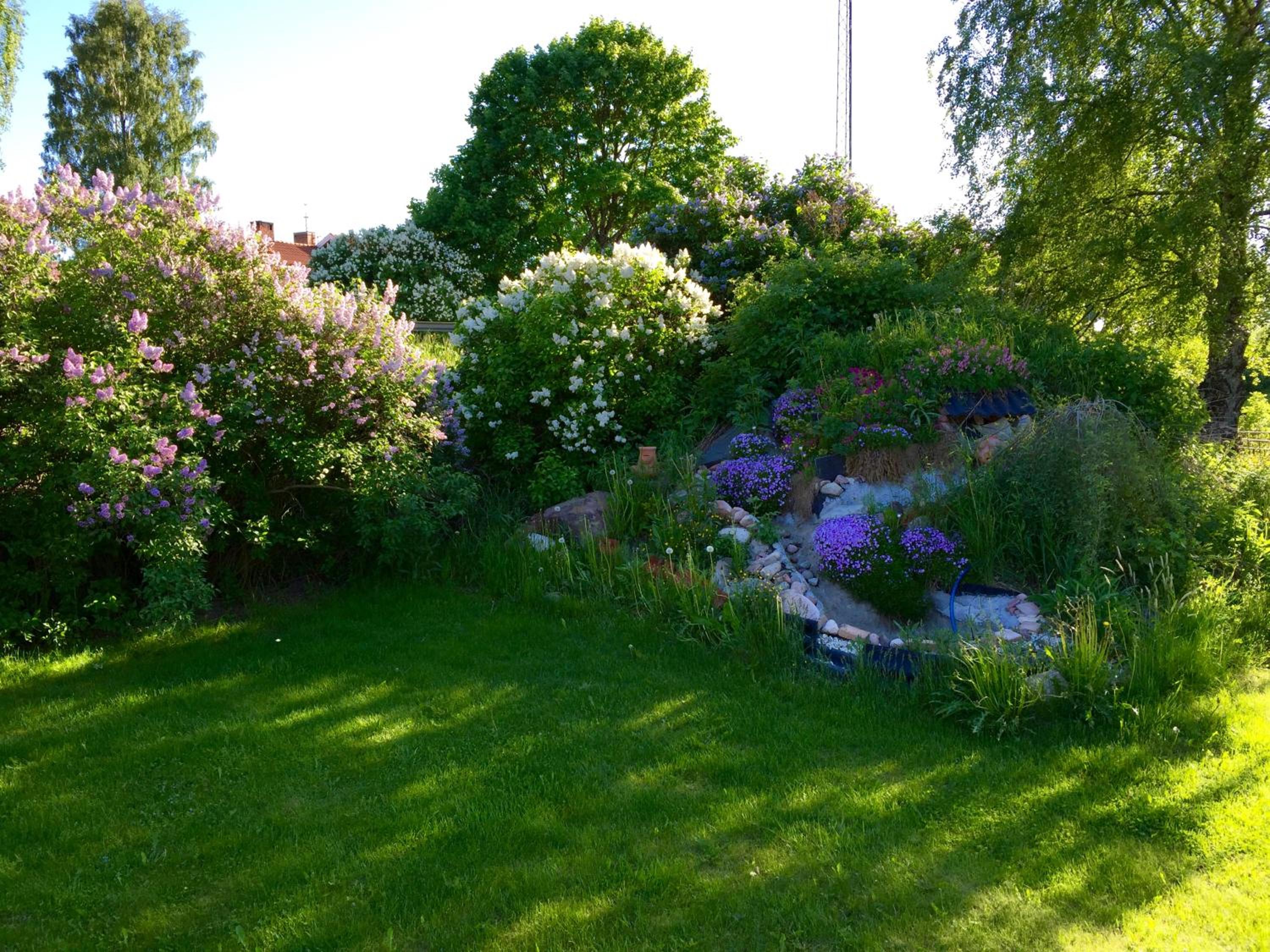 Prinsgården B&B rum stugor, photo 114