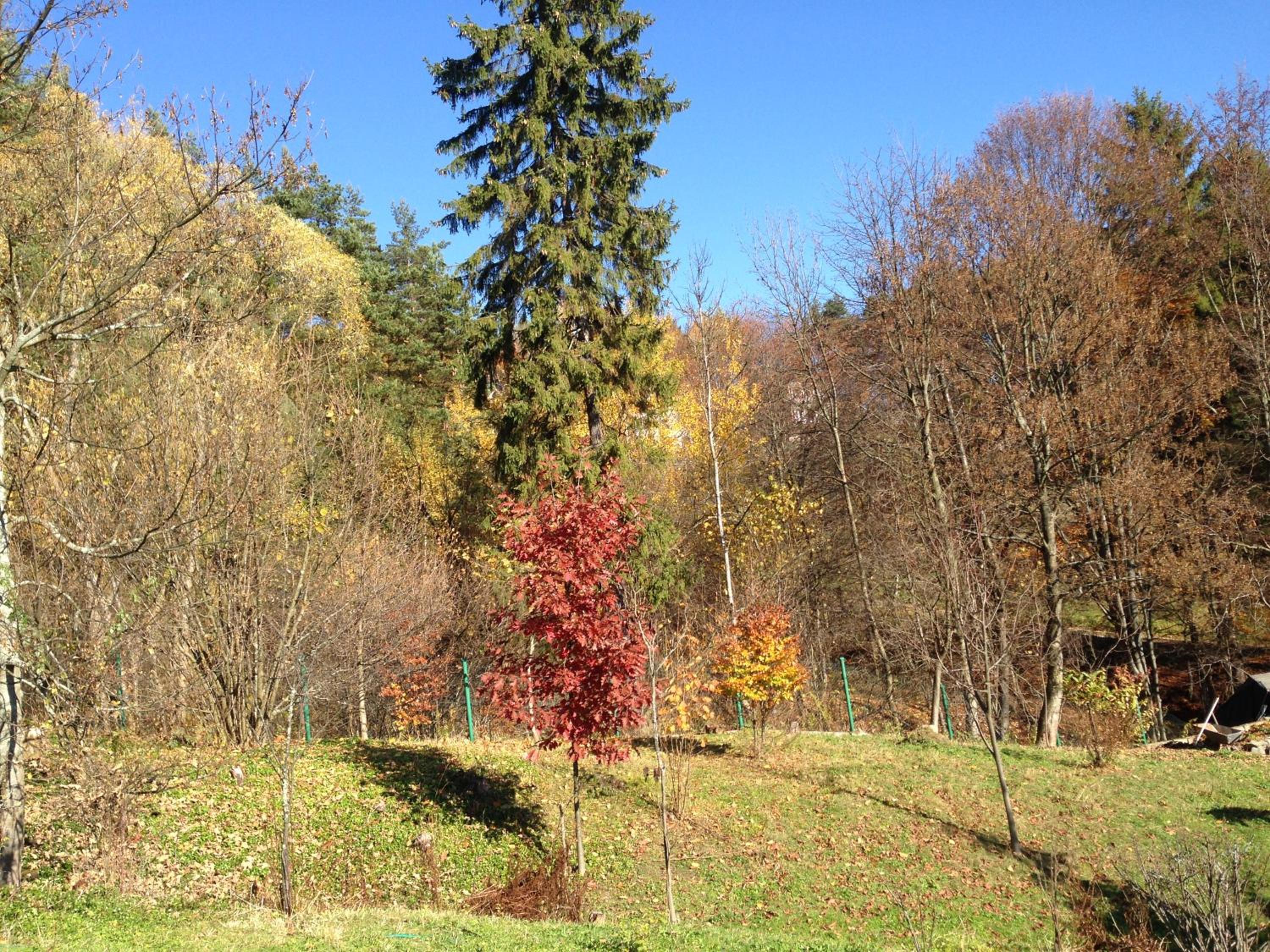 Photo 45
