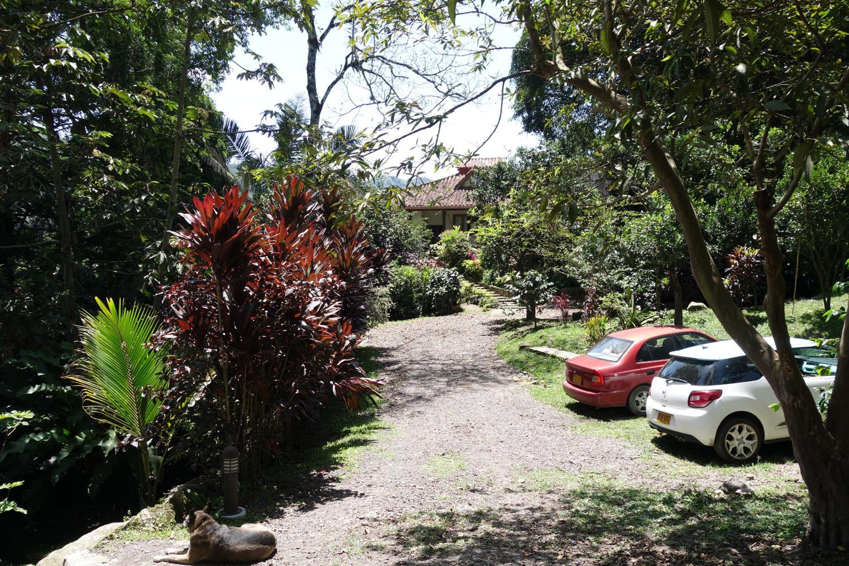 El Romeron Casa de Campo