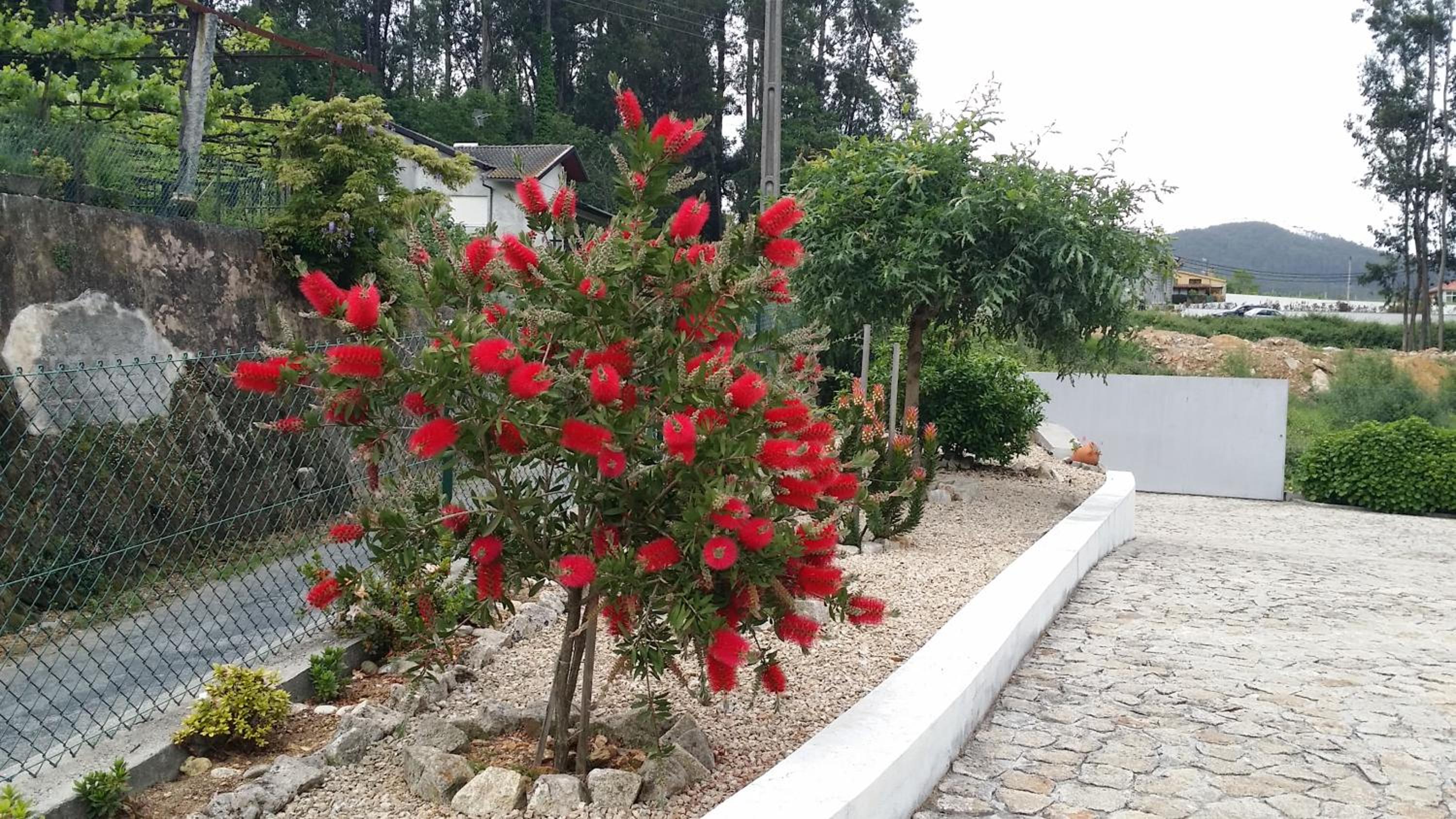 Casa do Porto Carreiro