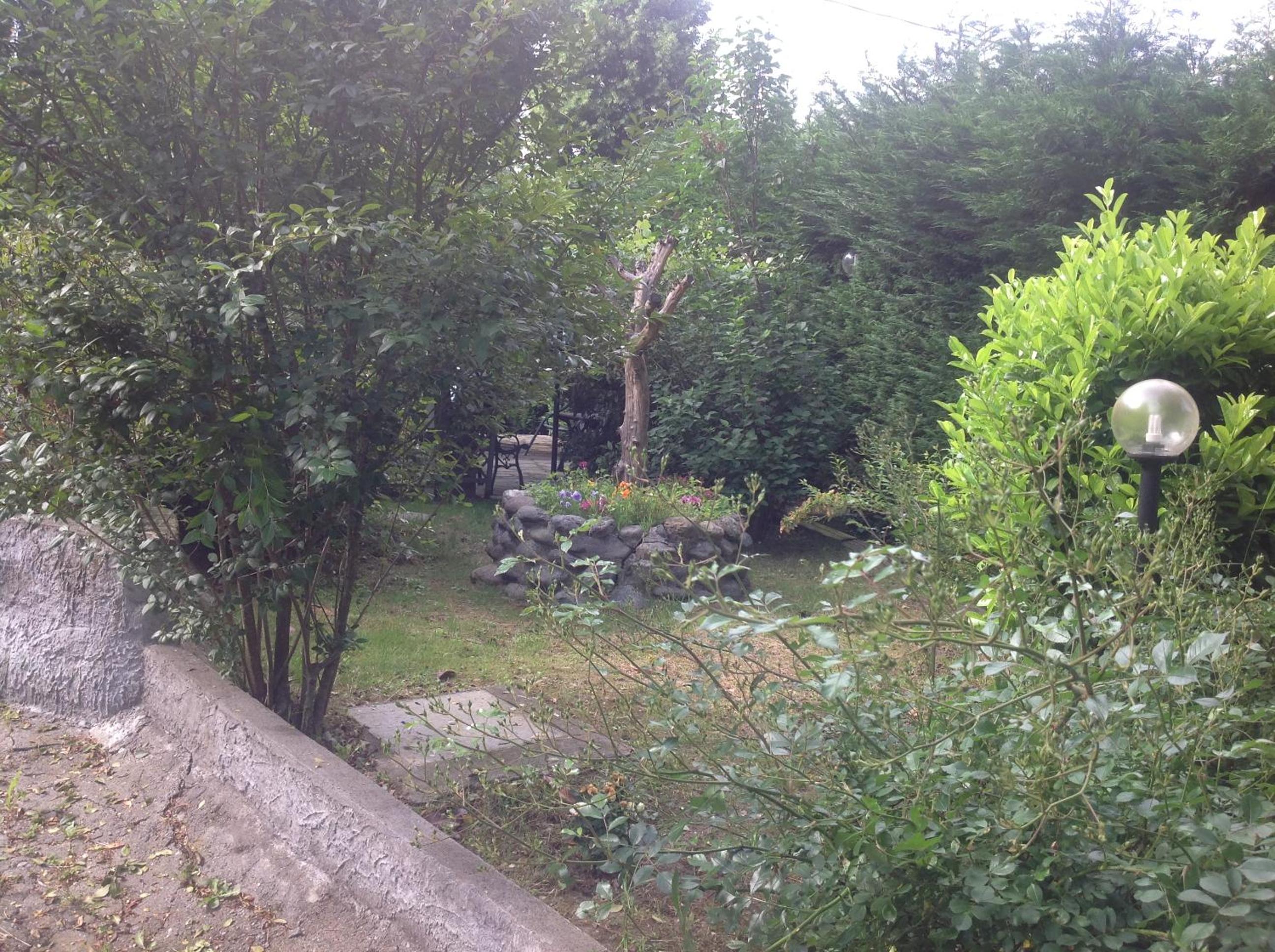 Photo 31