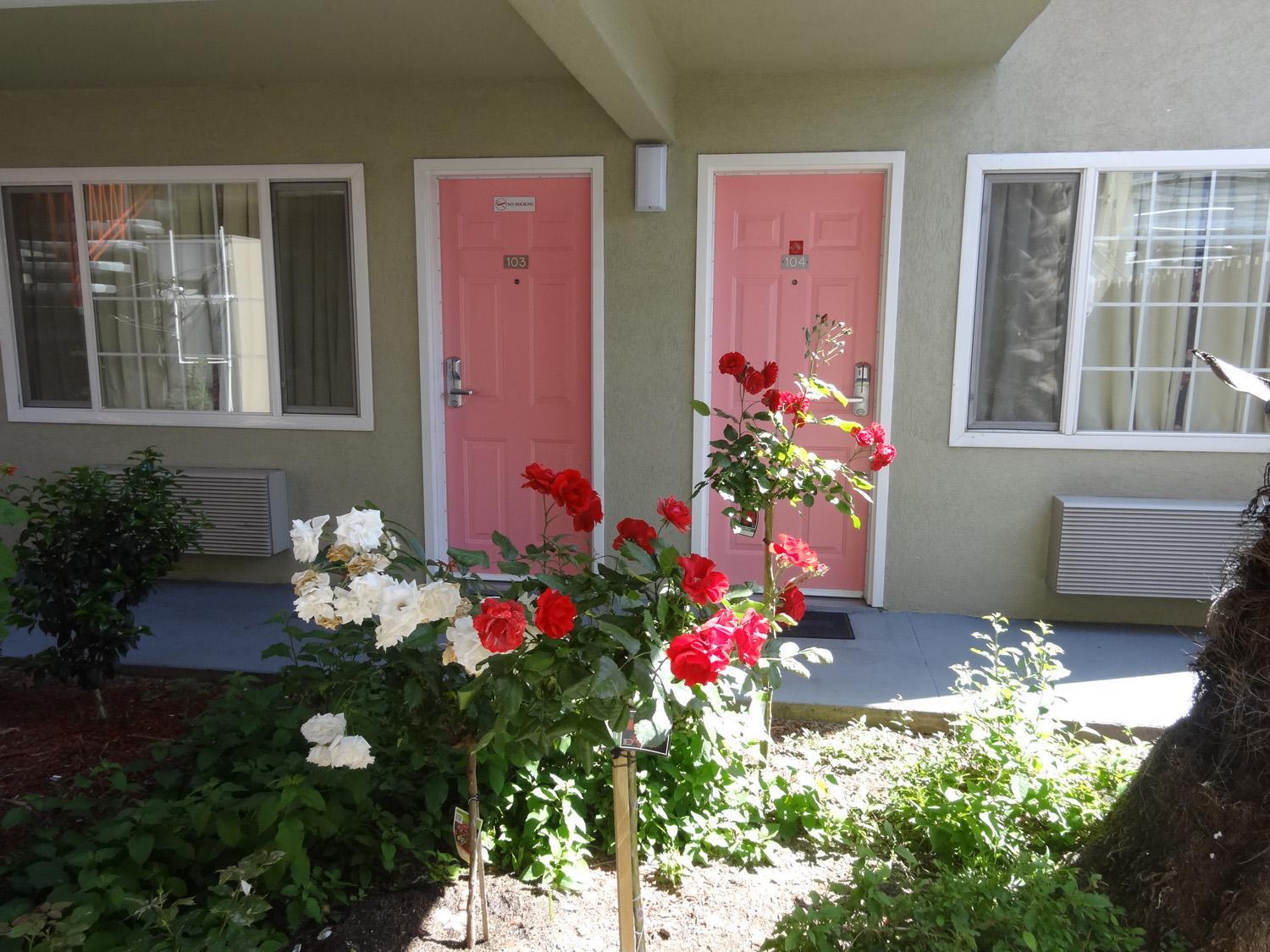 Photo 21