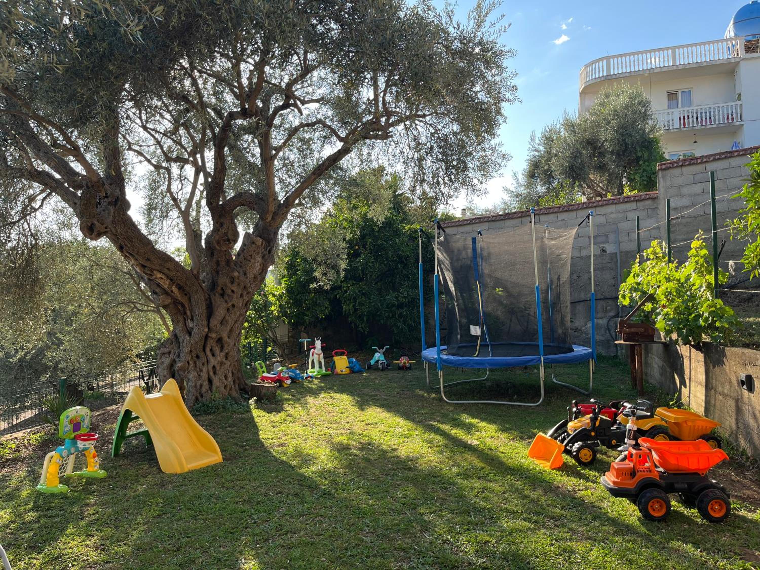 Photo 16