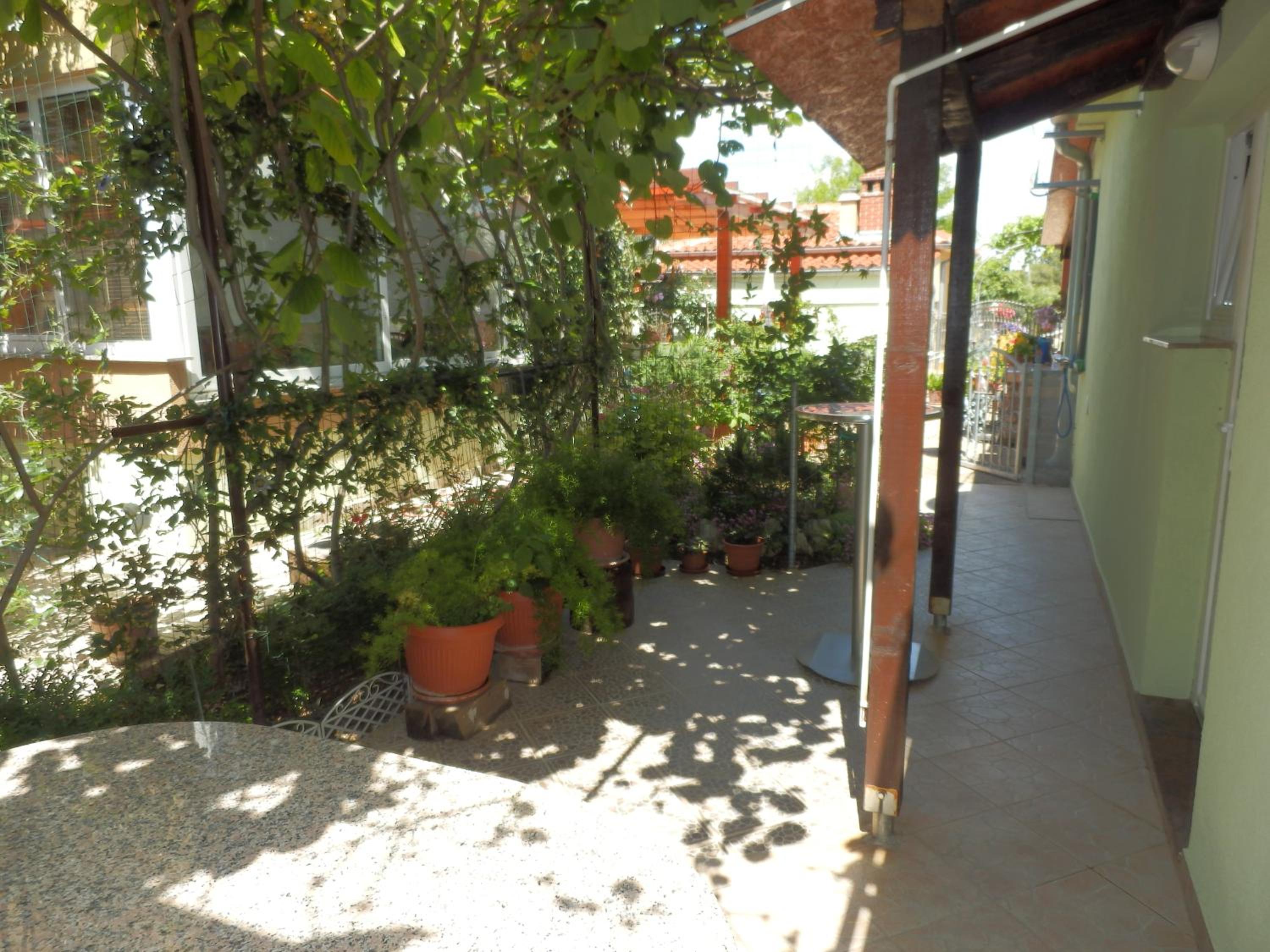 Photo 29