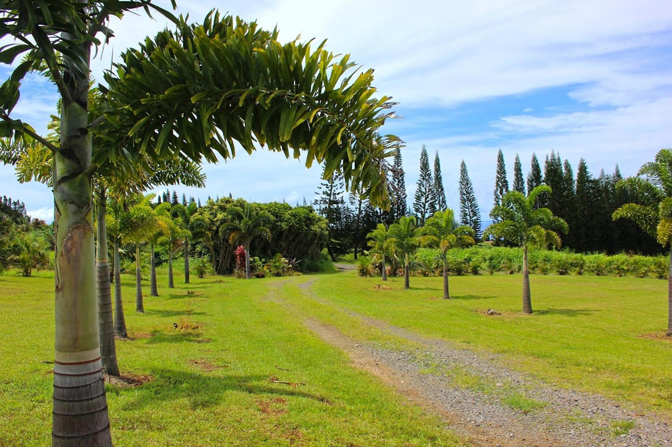 Mahana House Country Inn - Property Image 11