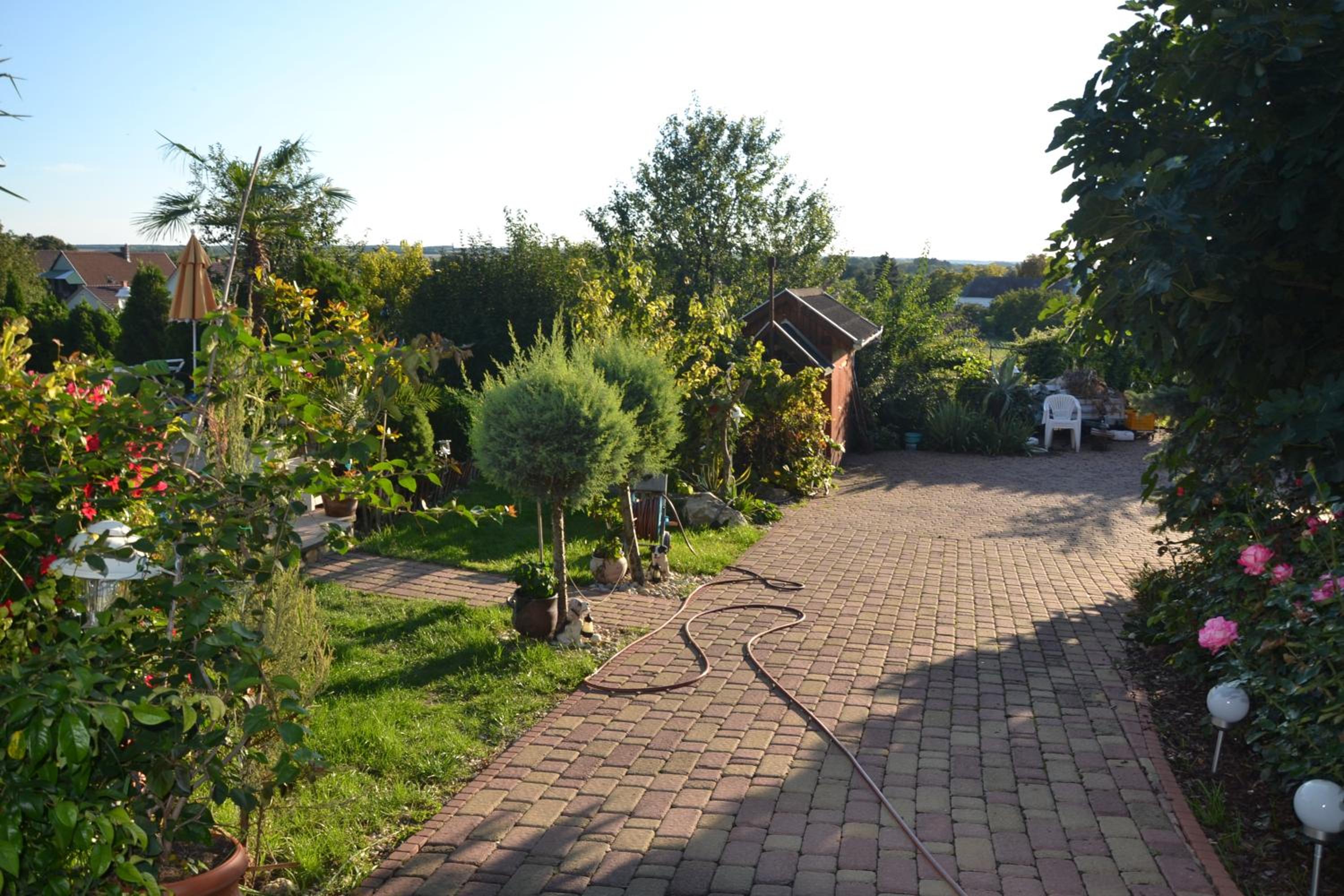 Photo 30