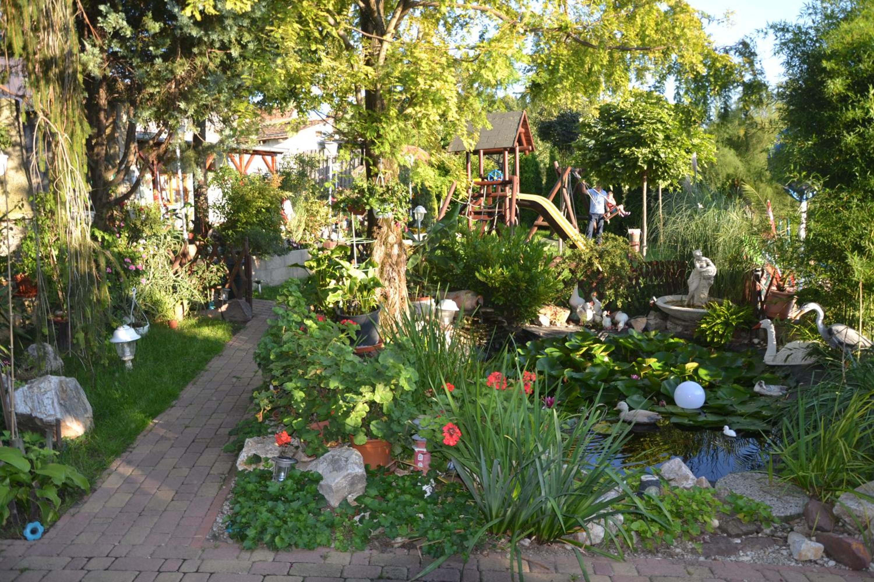 Photo 31