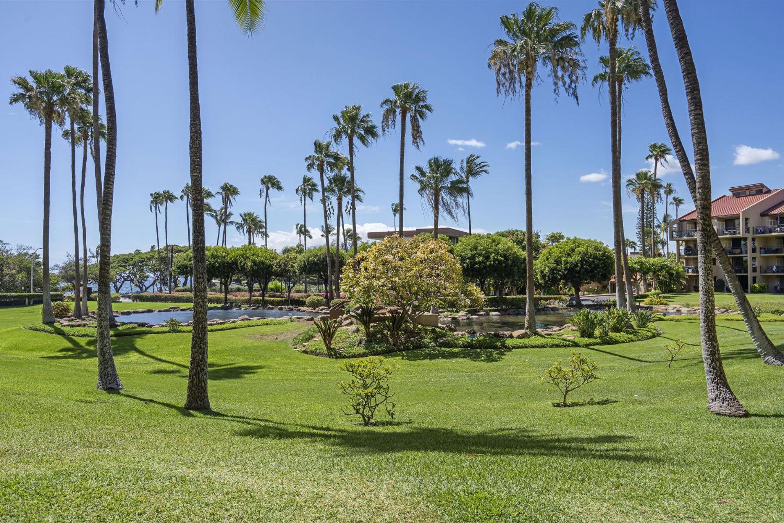 Kamaole Sands 10-113 - Ocean View, Ground Level, Stunning Renovation, Split-AC!