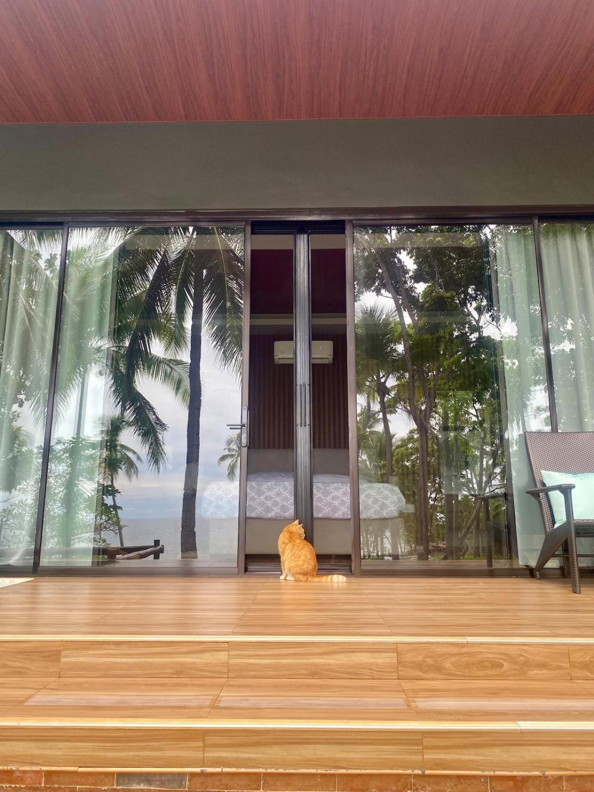 Jako Doma Beachfront Cabana