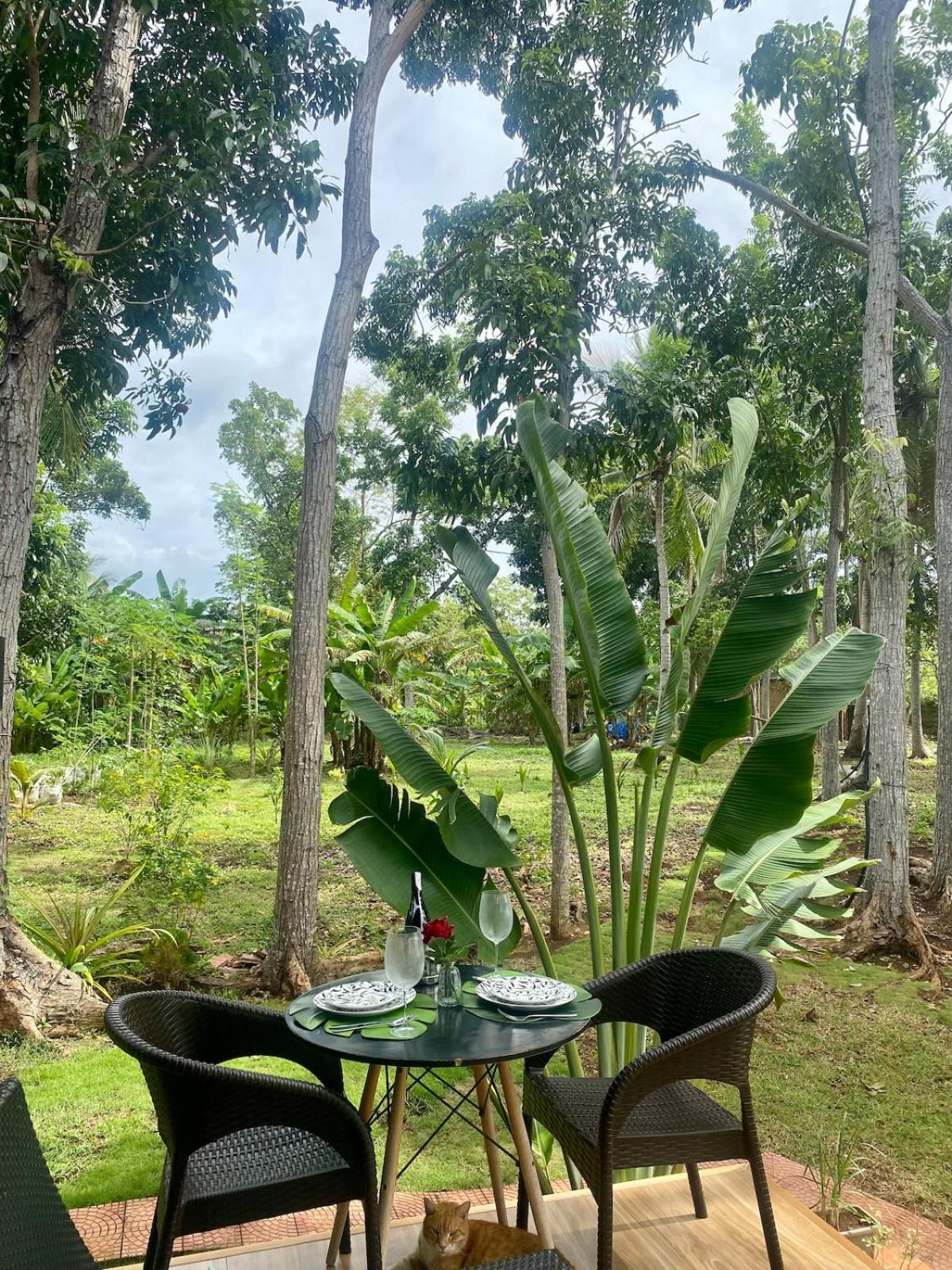Jako Doma Beachfront Cabana