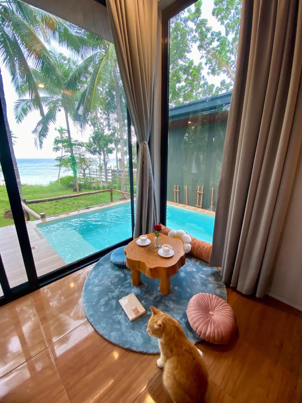 Jako Doma Beachfront Cabana