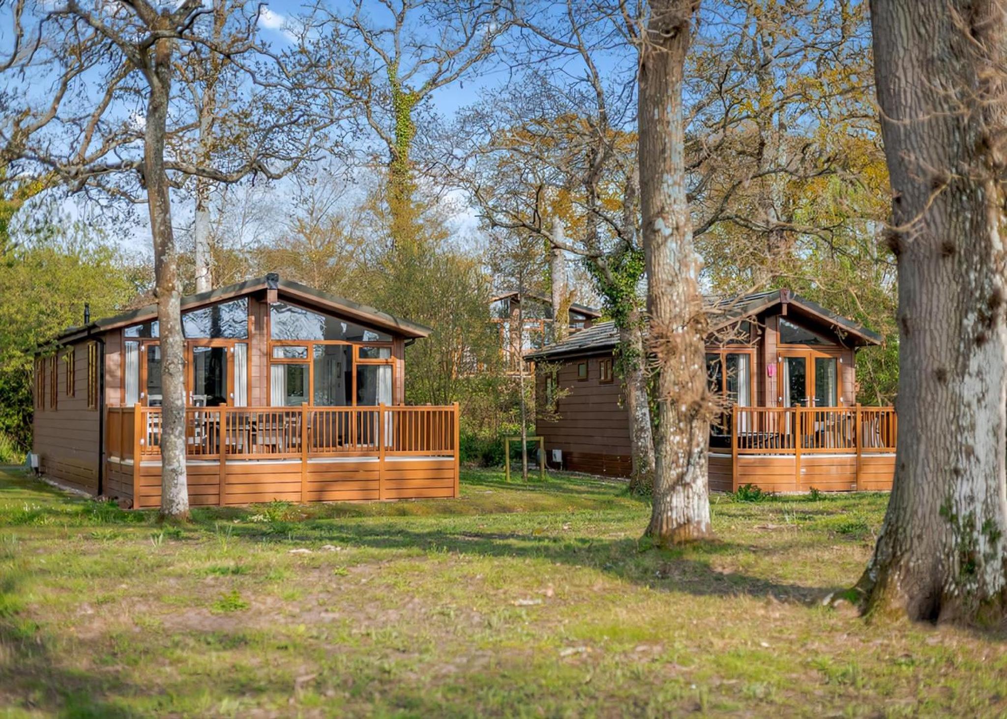 Wareham Forest Lodge Retreat view 3