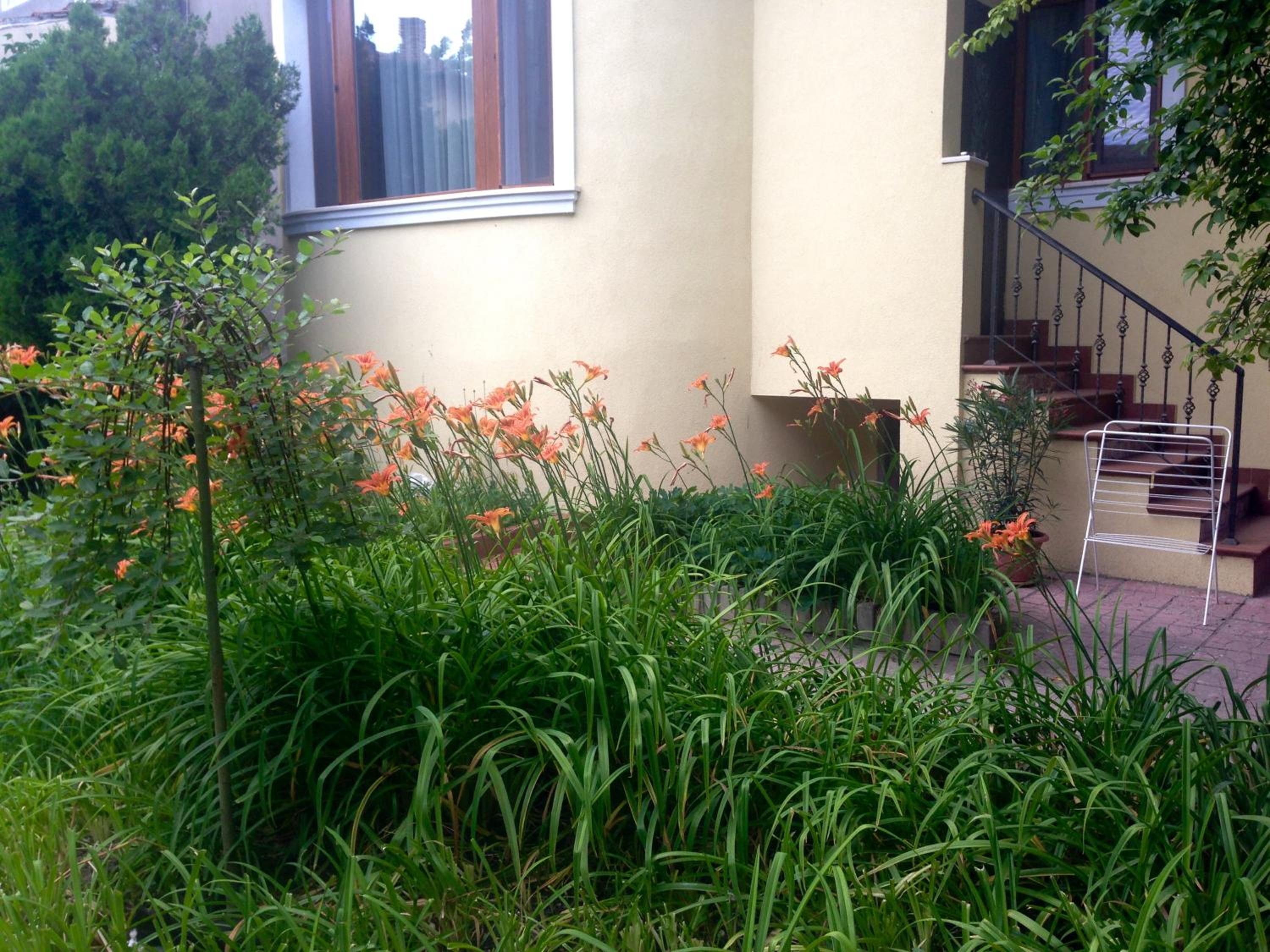 Guest Rooms Maria Luiza