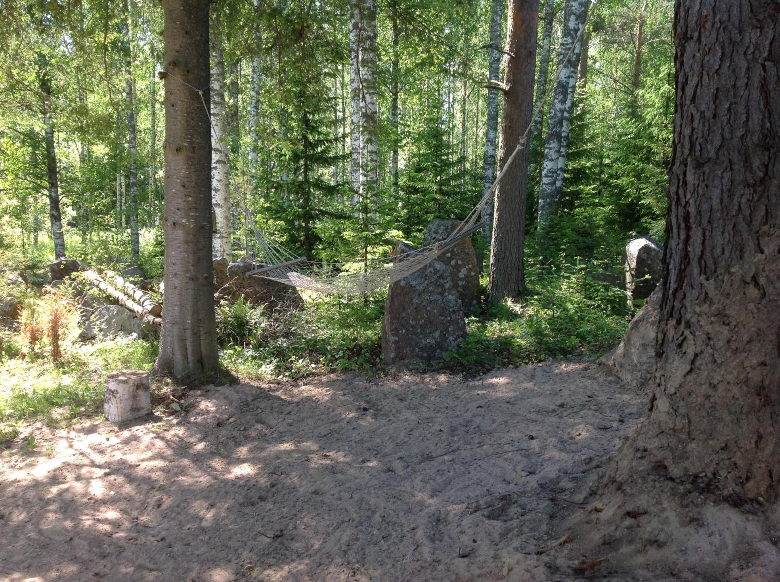 Photo 54
