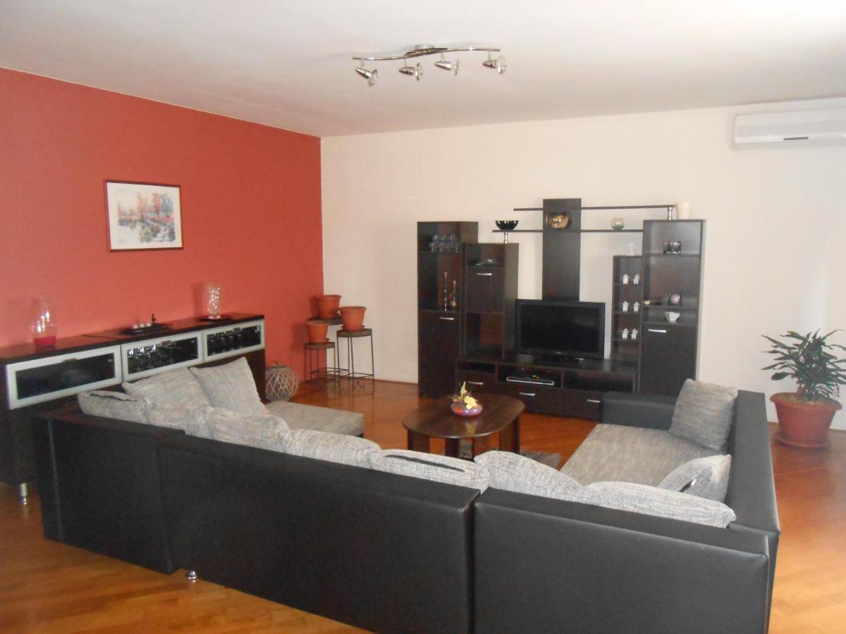Apartment Petric view 3