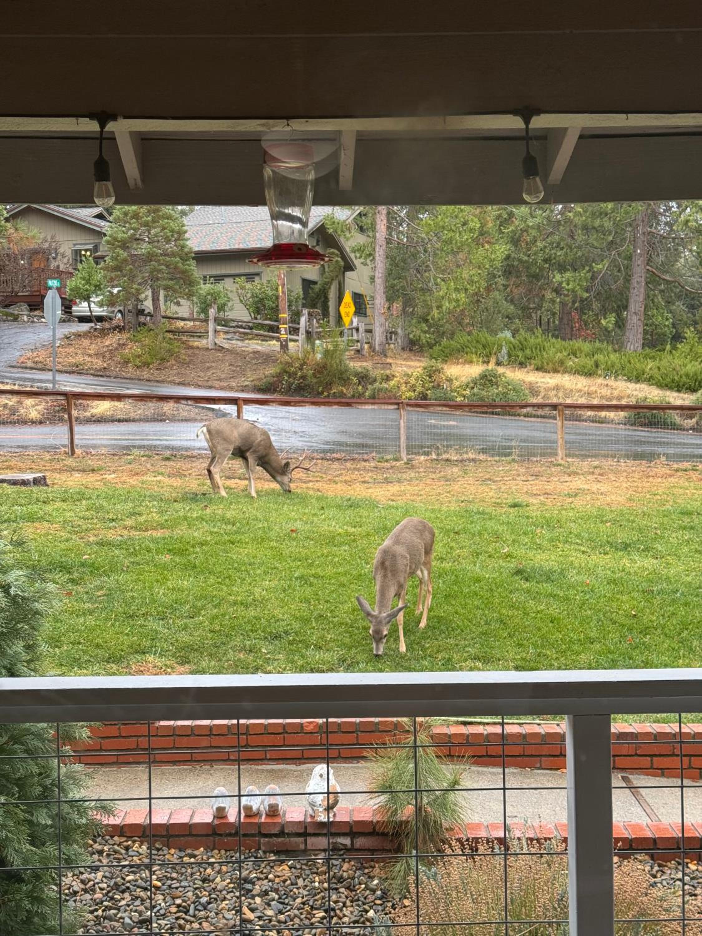Mariposa home, Yosemite retreat, deer watching, family friendly