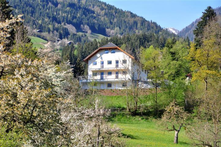 Haus Pflaum