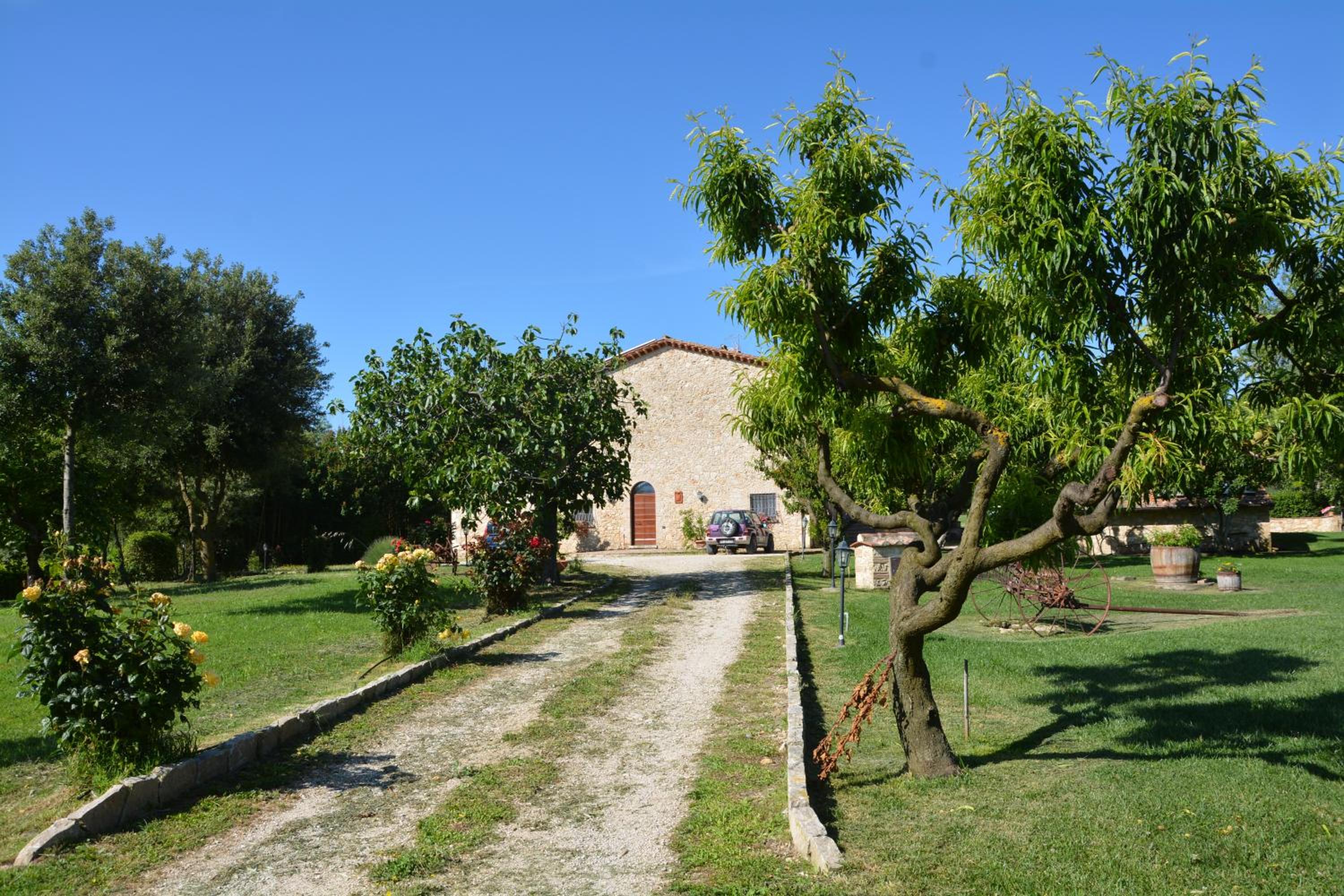 Photo 13