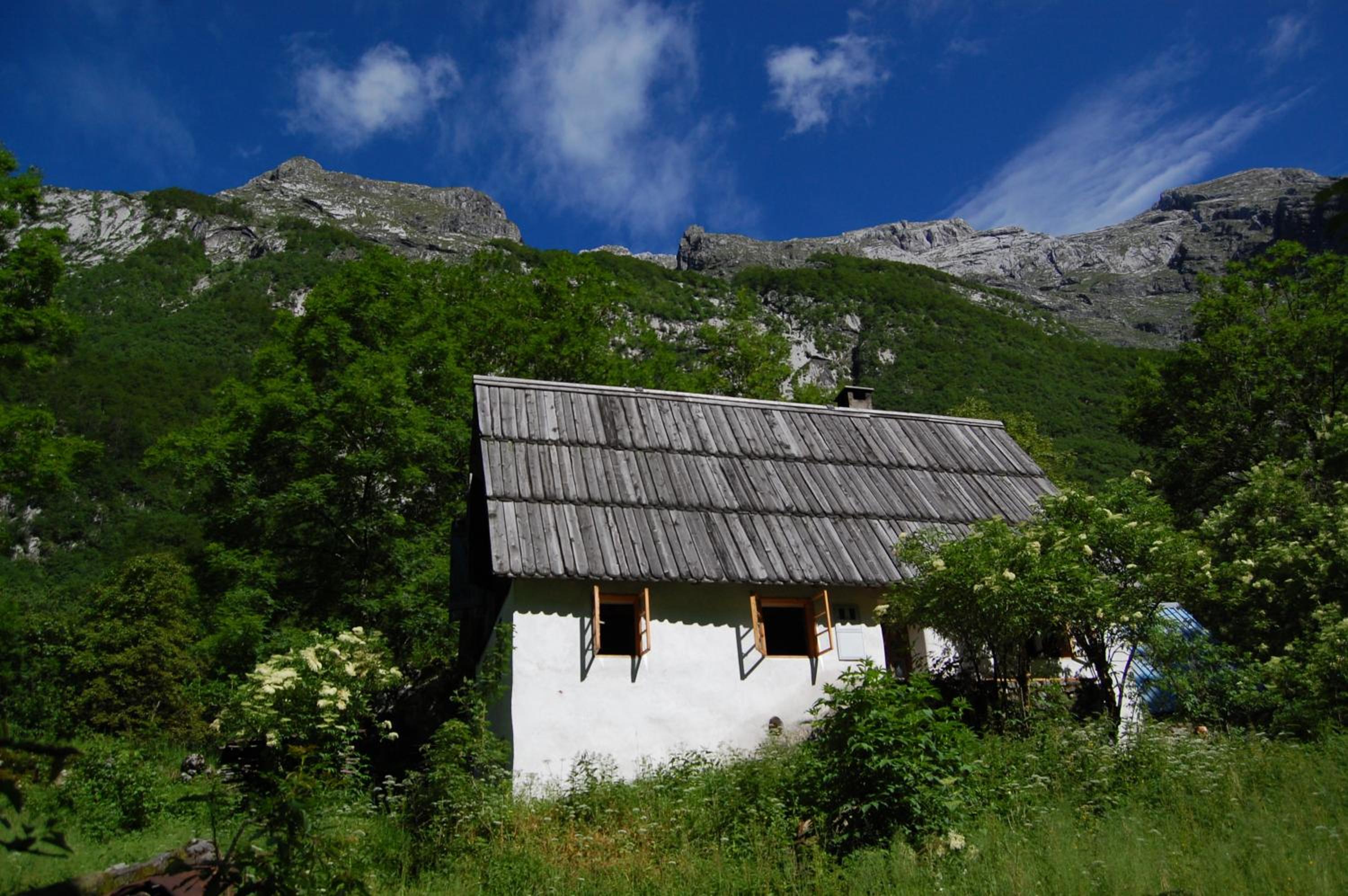 Photo 27