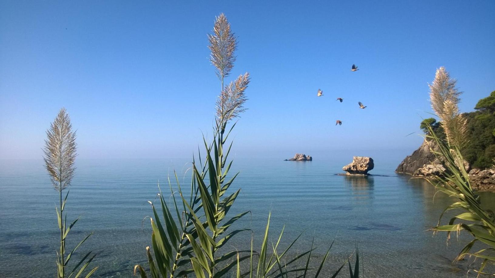 Yaliskari Beach