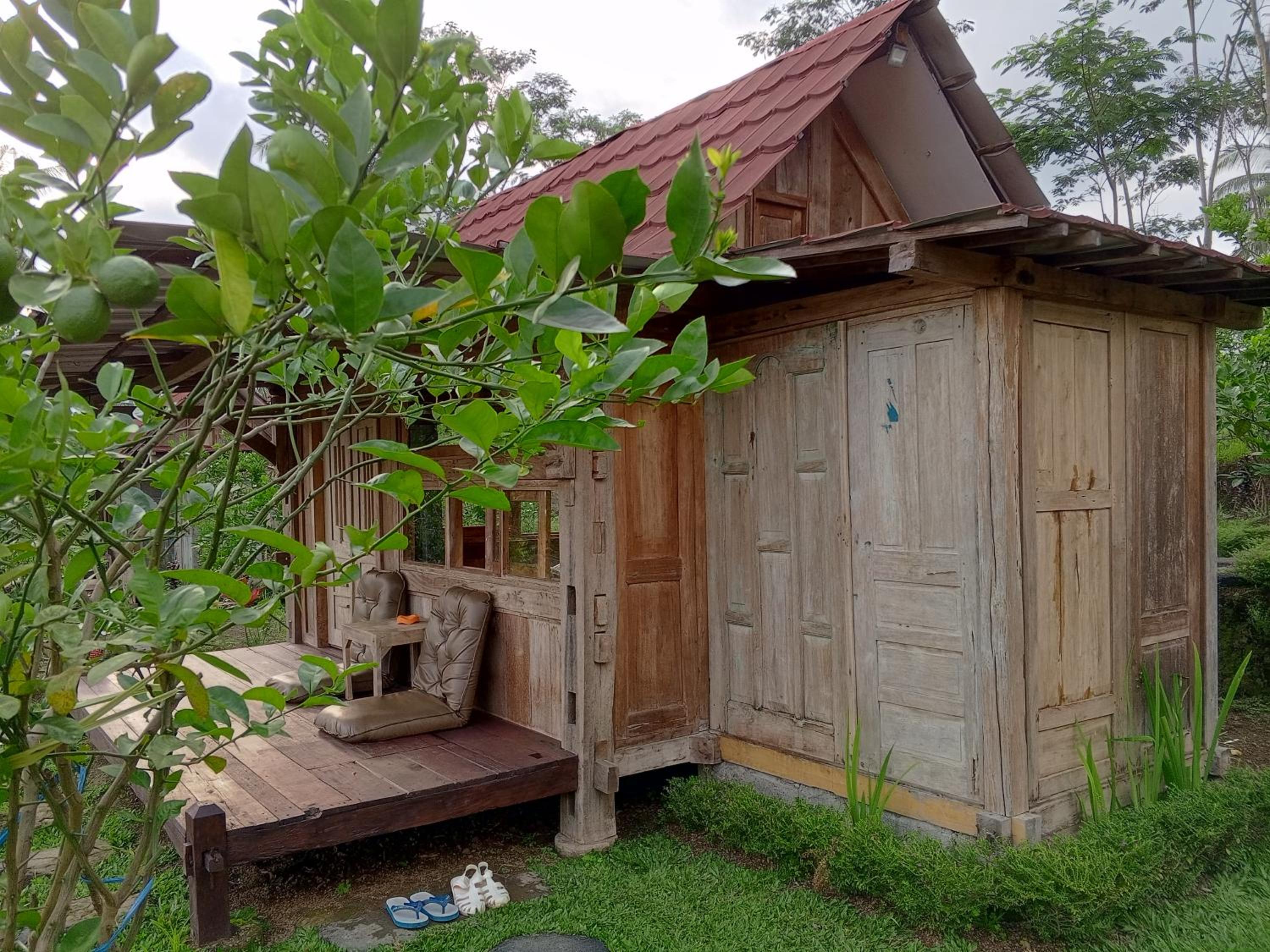 Homestay Ijen Lemon House