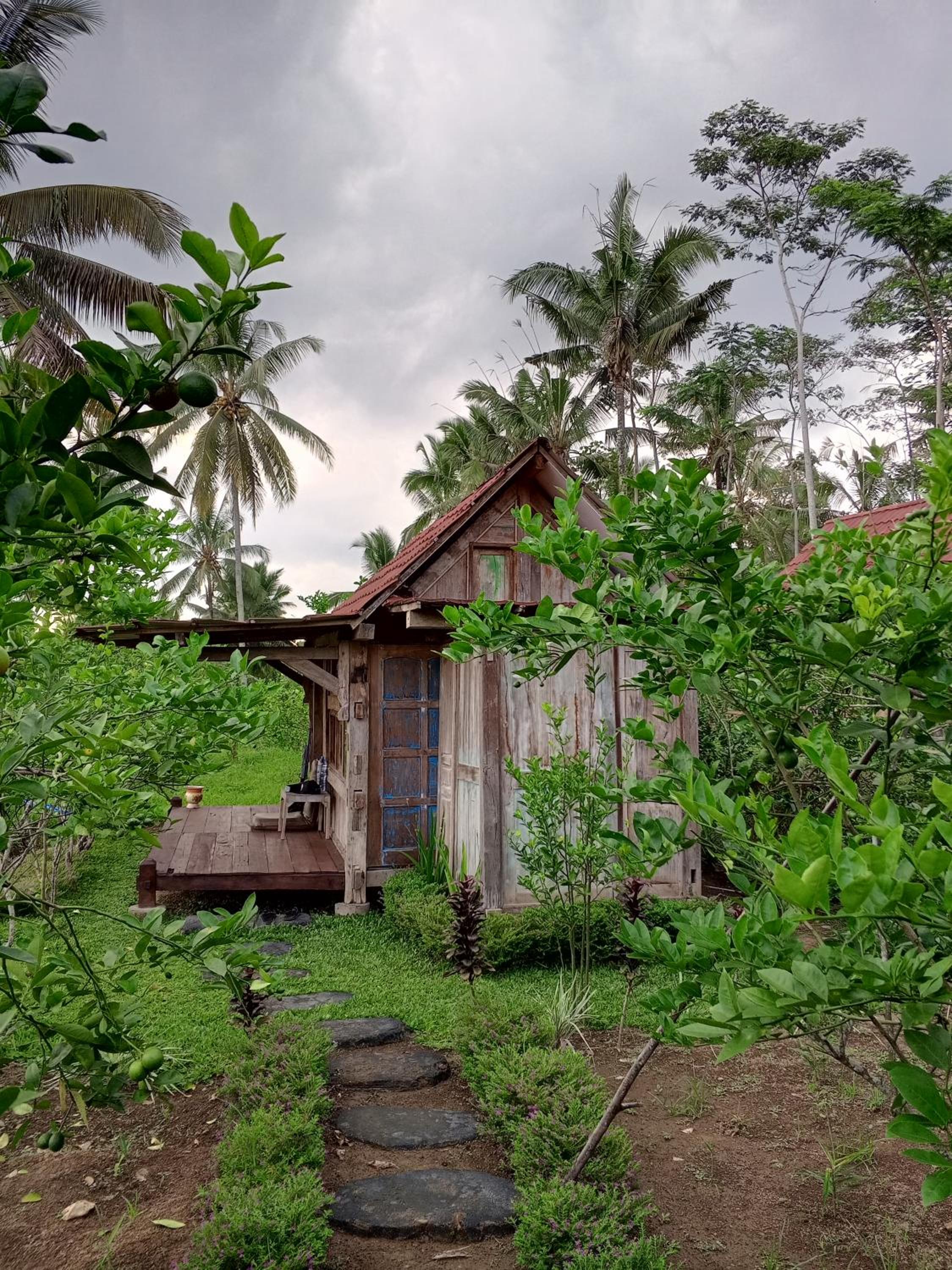 Homestay Ijen Lemon House