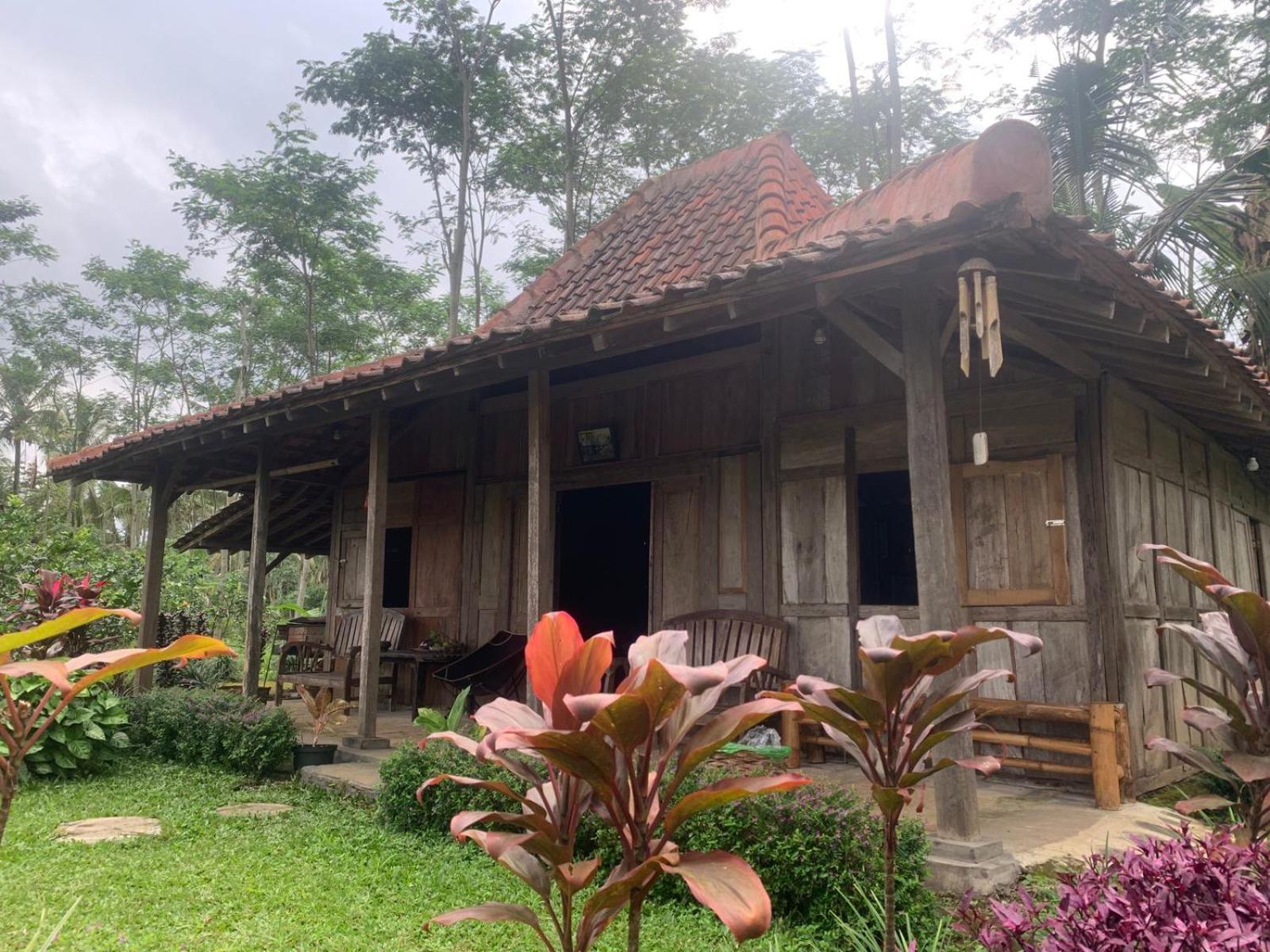 Homestay Ijen Lemon House
