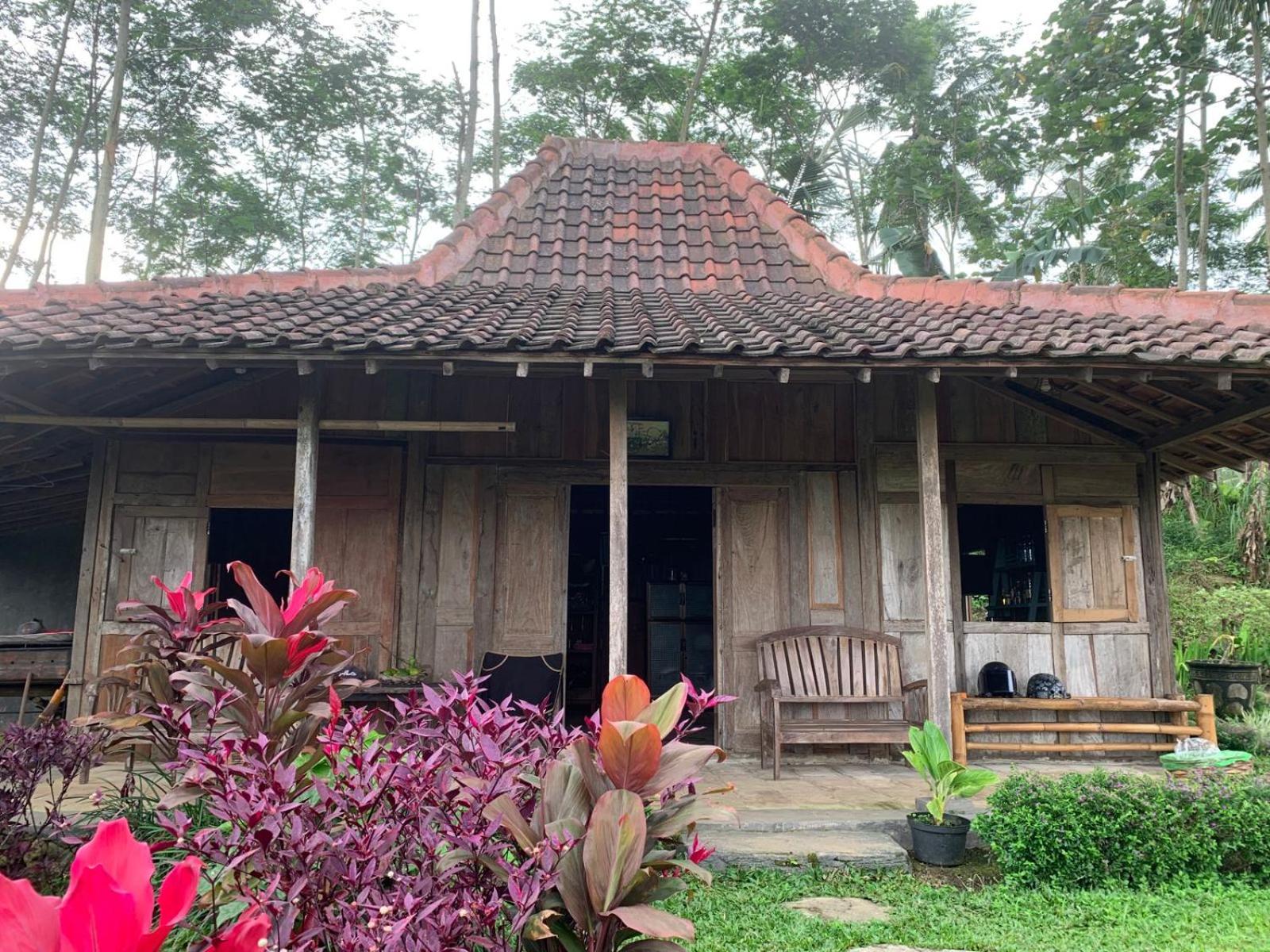 Homestay Ijen Lemon House