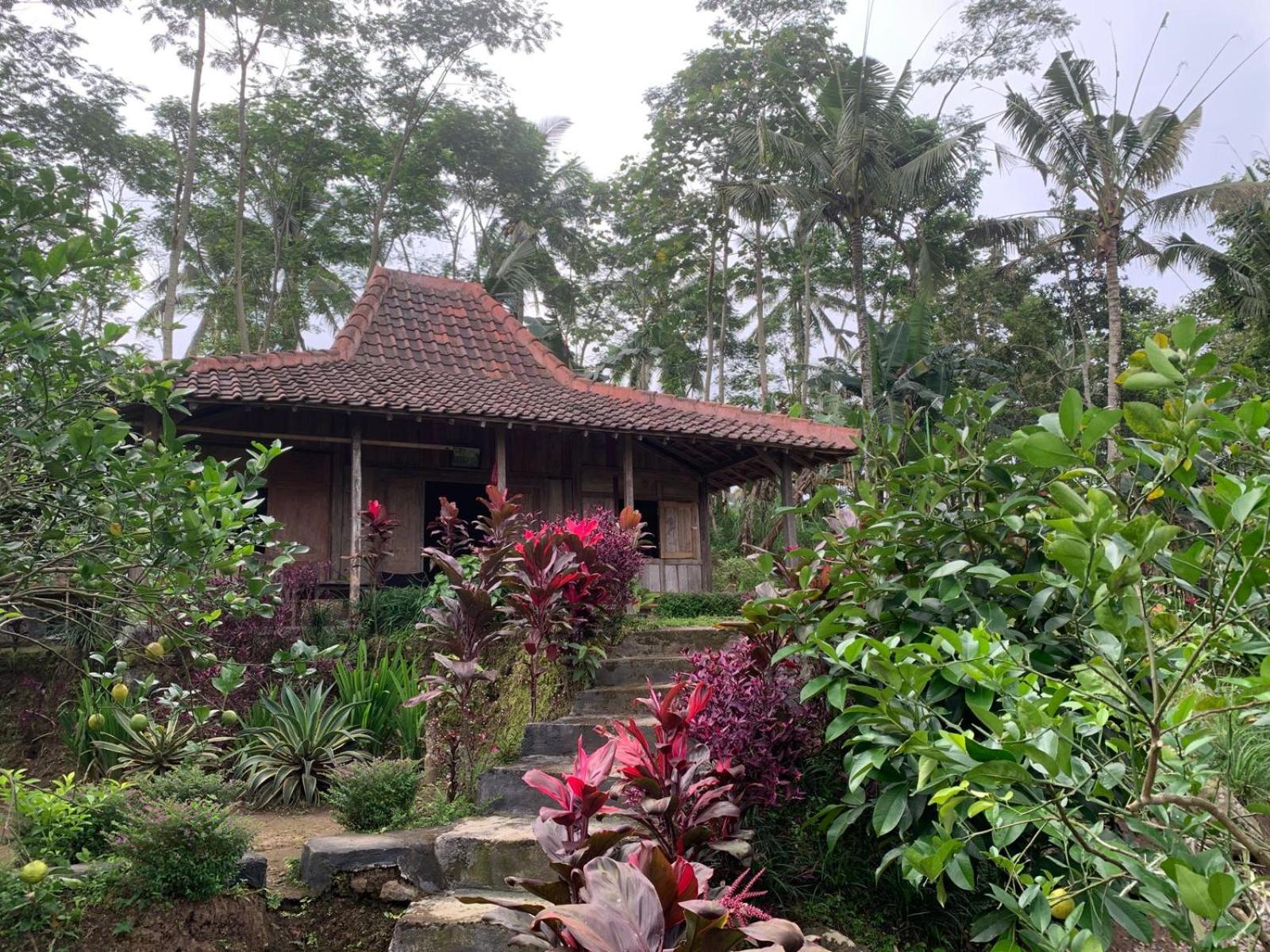 Homestay Ijen Lemon House
