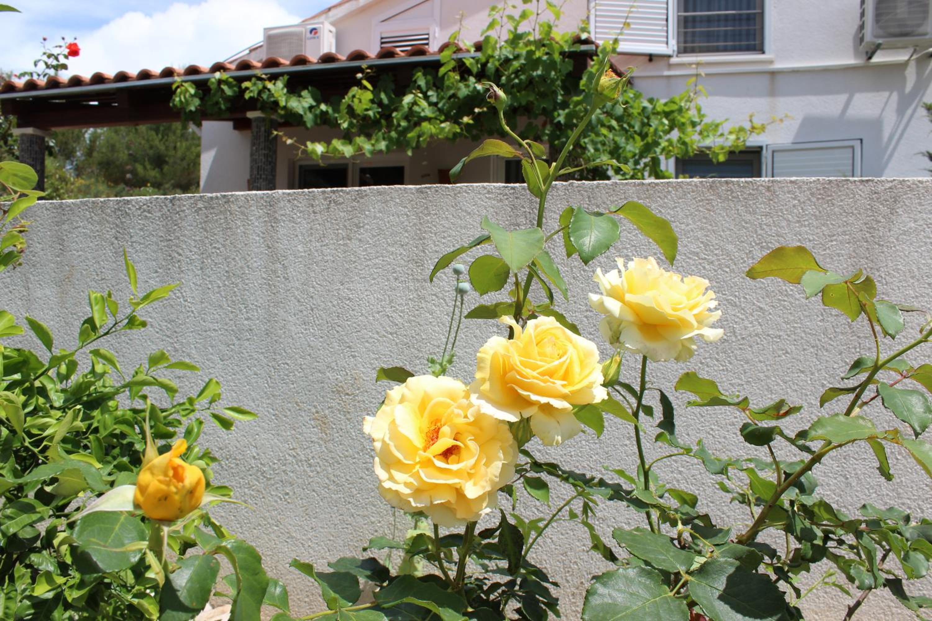 Photo 34