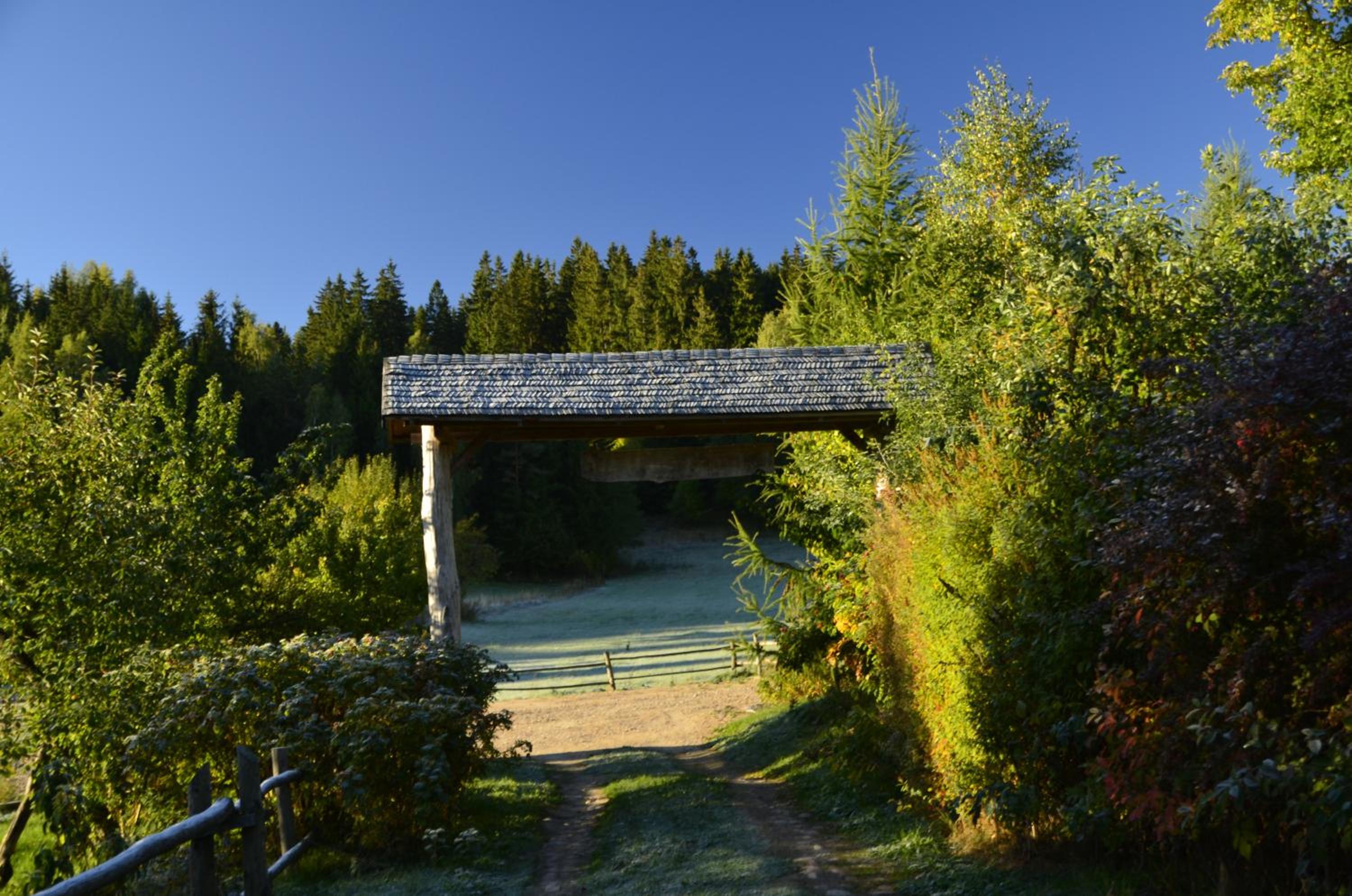Cisowe Wzgórze view 5