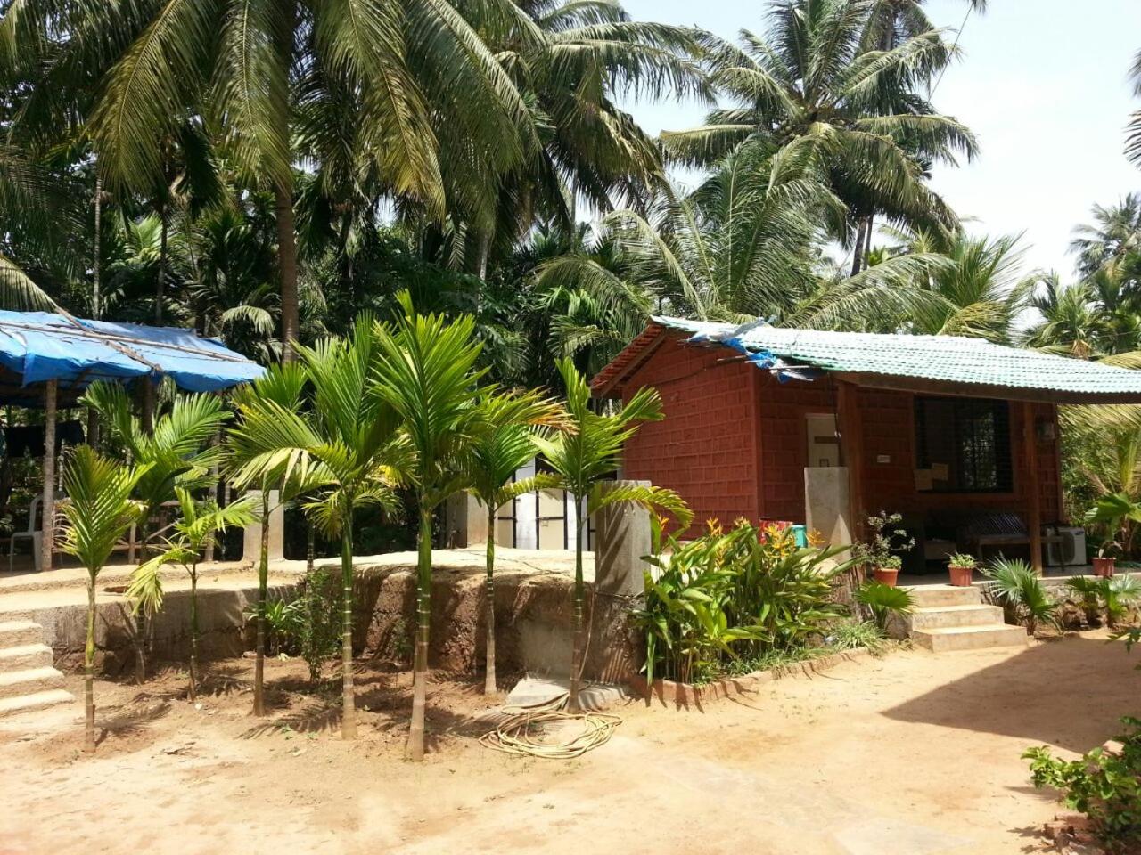 Photo 17