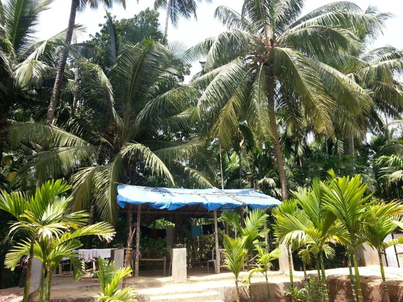 Photo 16