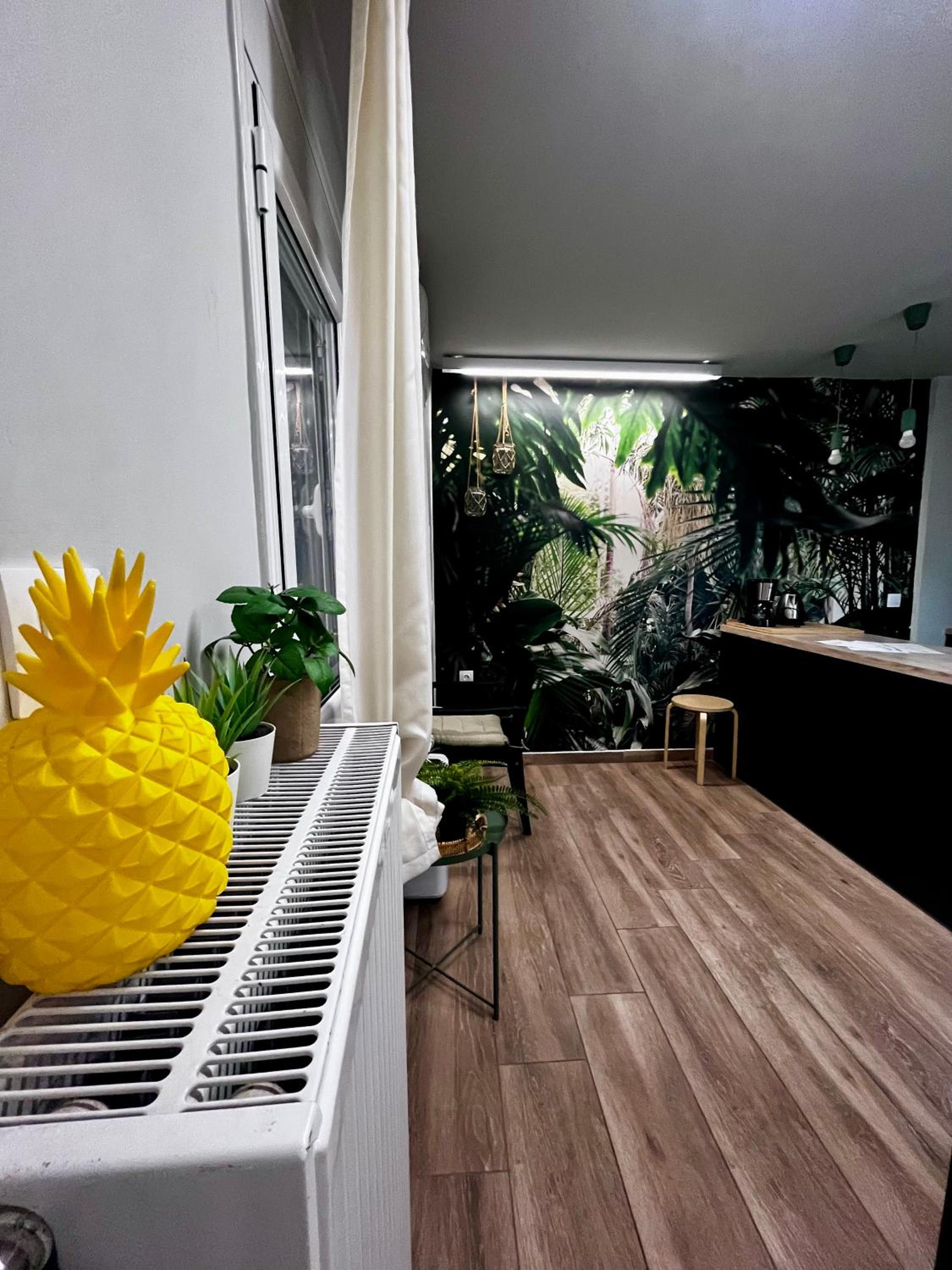 Central Cozy Studio, Ath