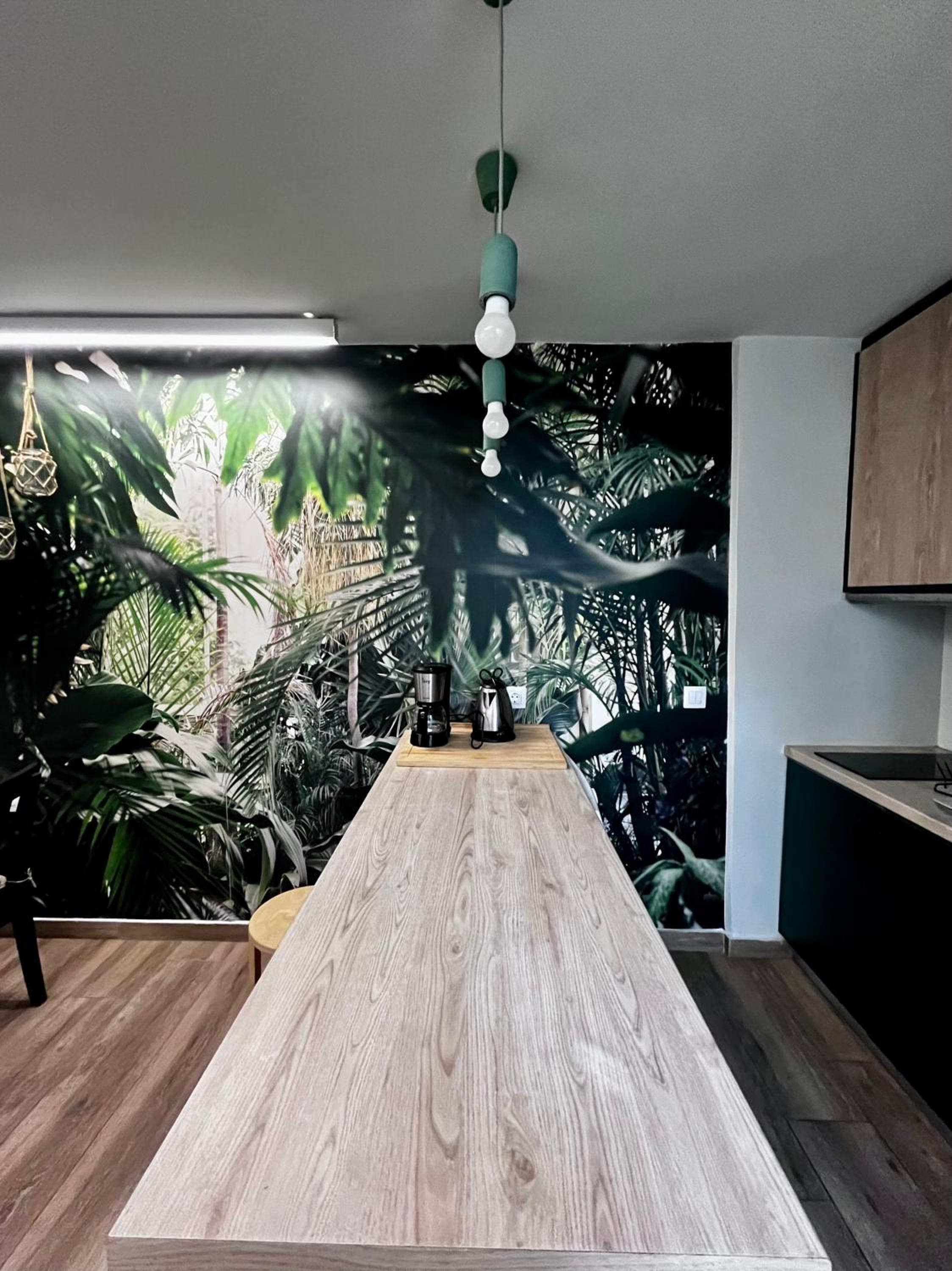 Central Cozy Studio, Ath