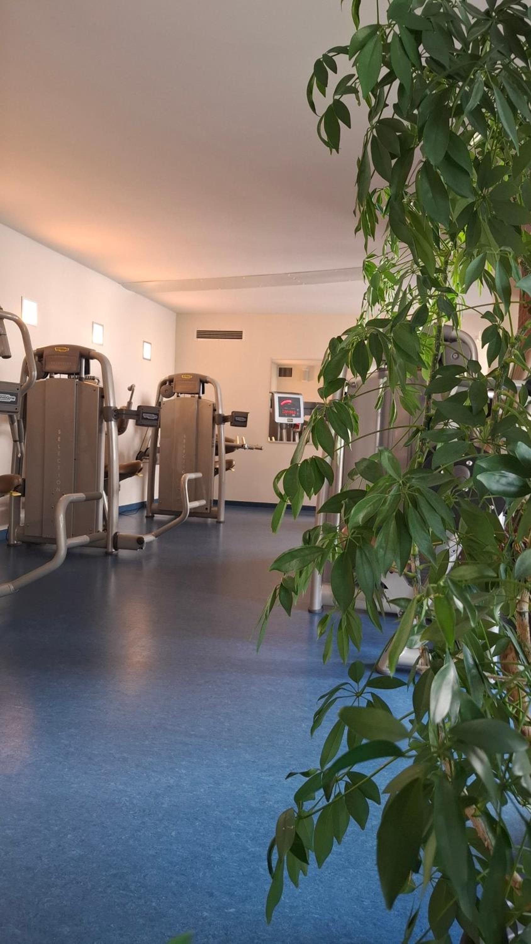 Apartment Wohlfühl-Oase mit Pool & Sauna, aktivCard inkl