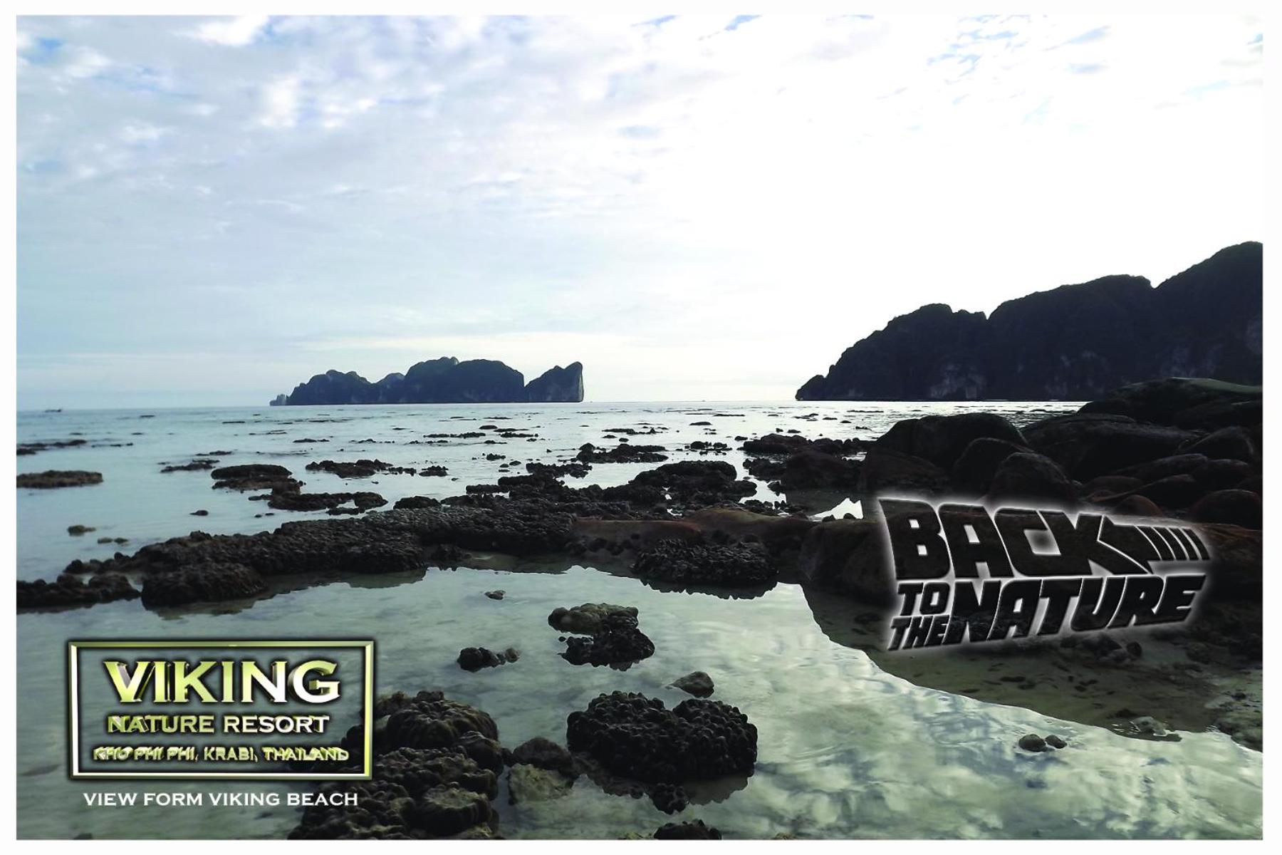 Viking Nature Resort